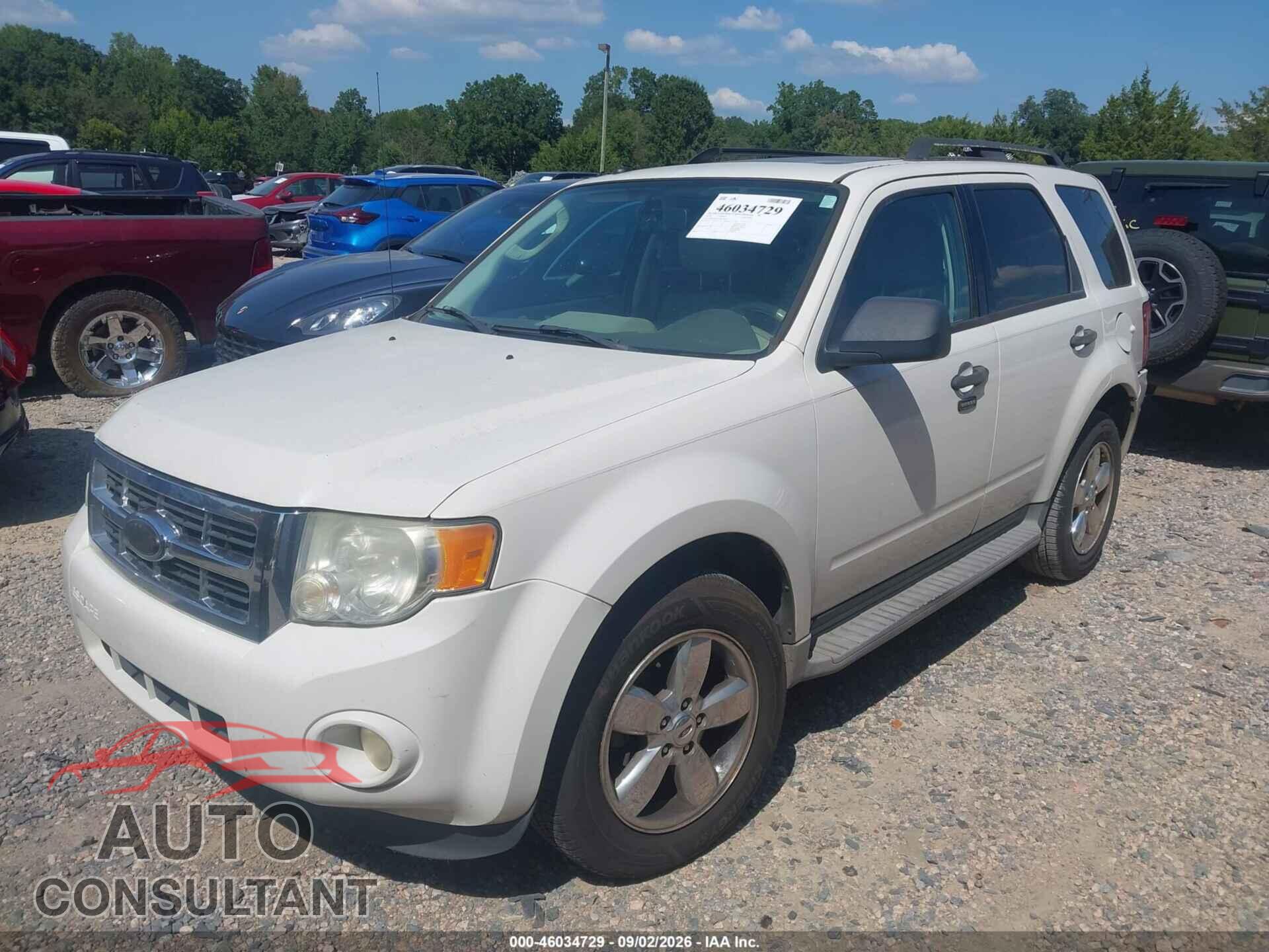 FORD ESCAPE 2010 - 1FMCU0DG5AKC68942
