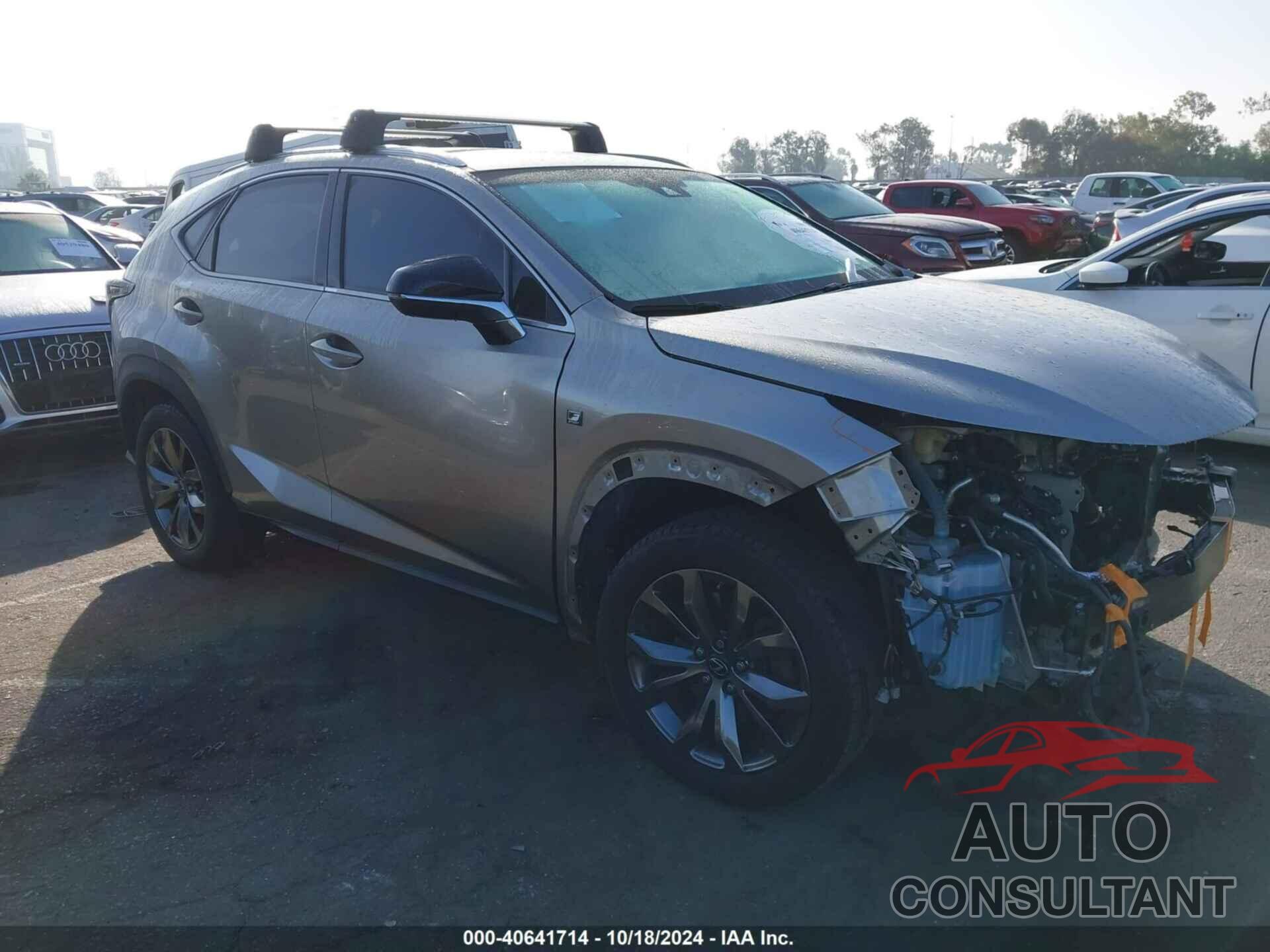 LEXUS NX 300 2019 - JTJYARBZ0K2141557