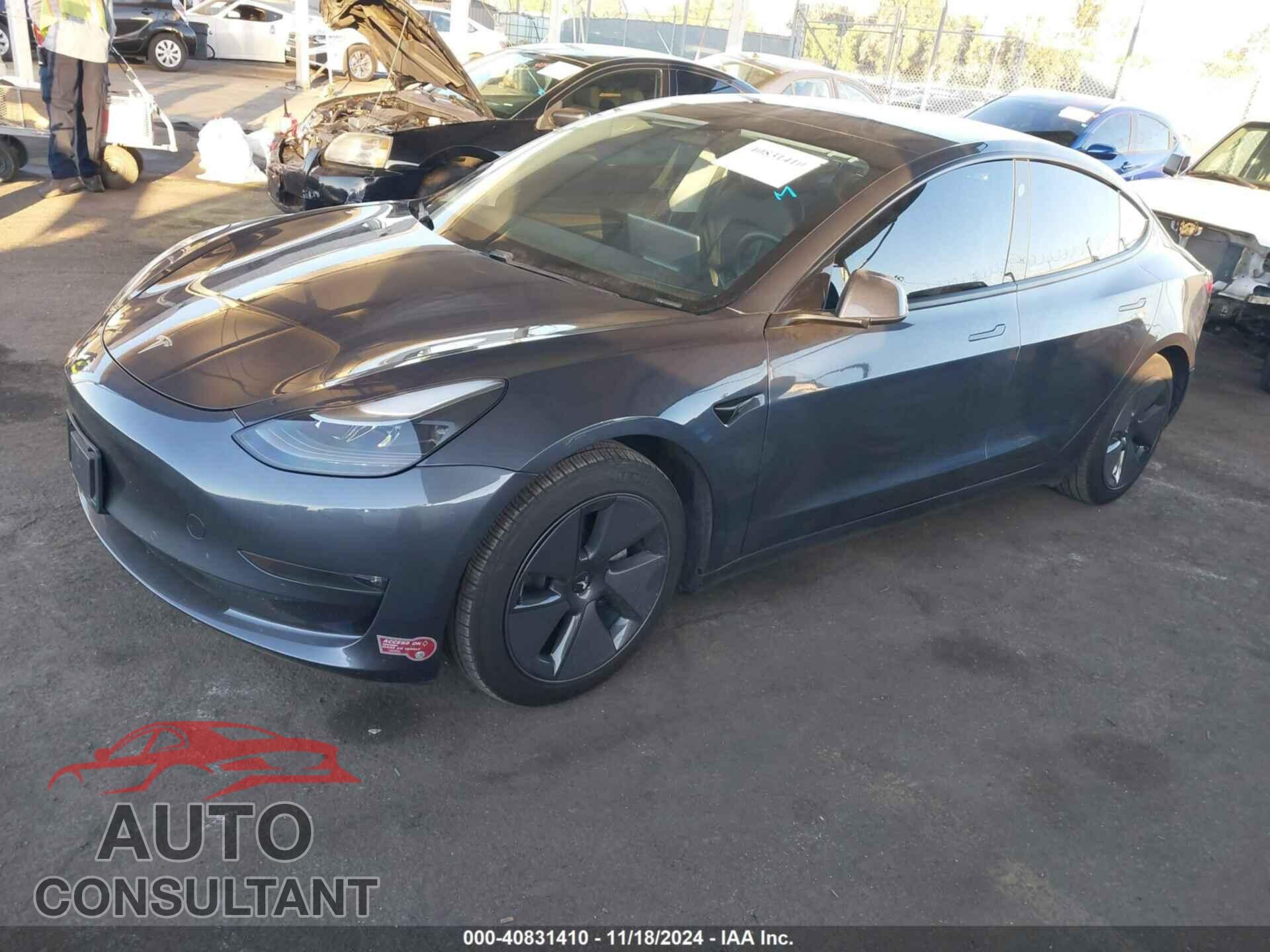 TESLA MODEL 3 2021 - 5YJ3E1EB0MF050967