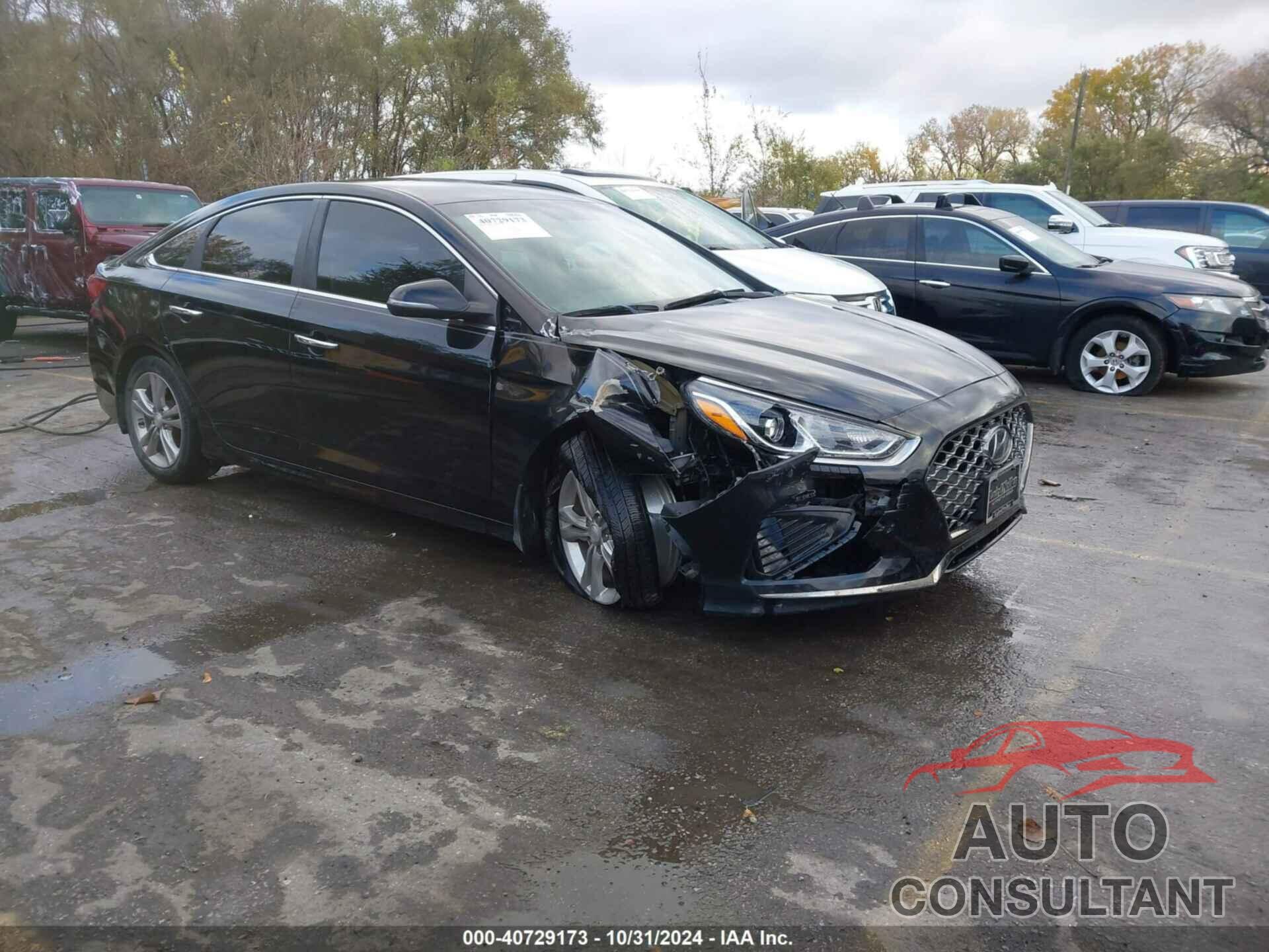 HYUNDAI SONATA 2019 - 5NPE34AF0KH802822