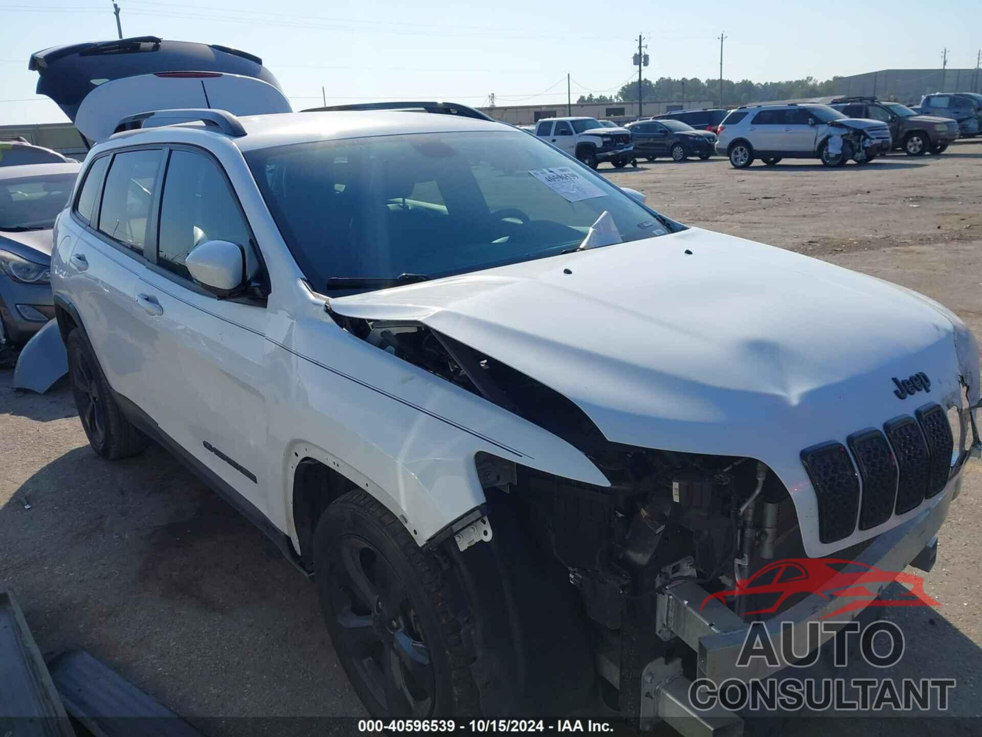 JEEP CHEROKEE 2020 - 1C4PJLLB4LD580747