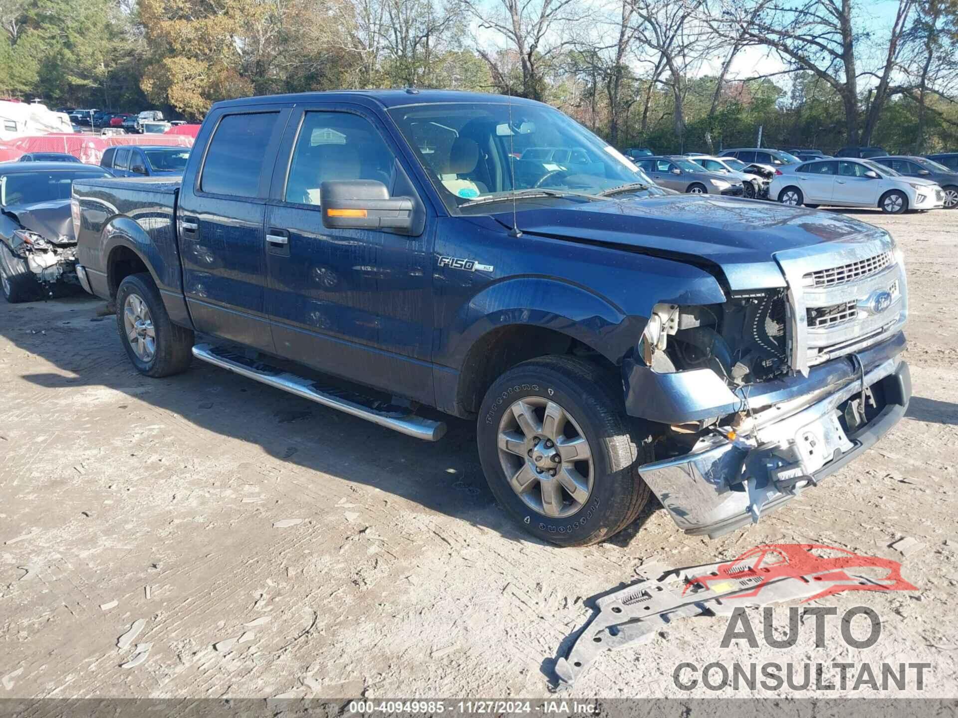 FORD F-150 2013 - 1FTEW1CM8DFD91037