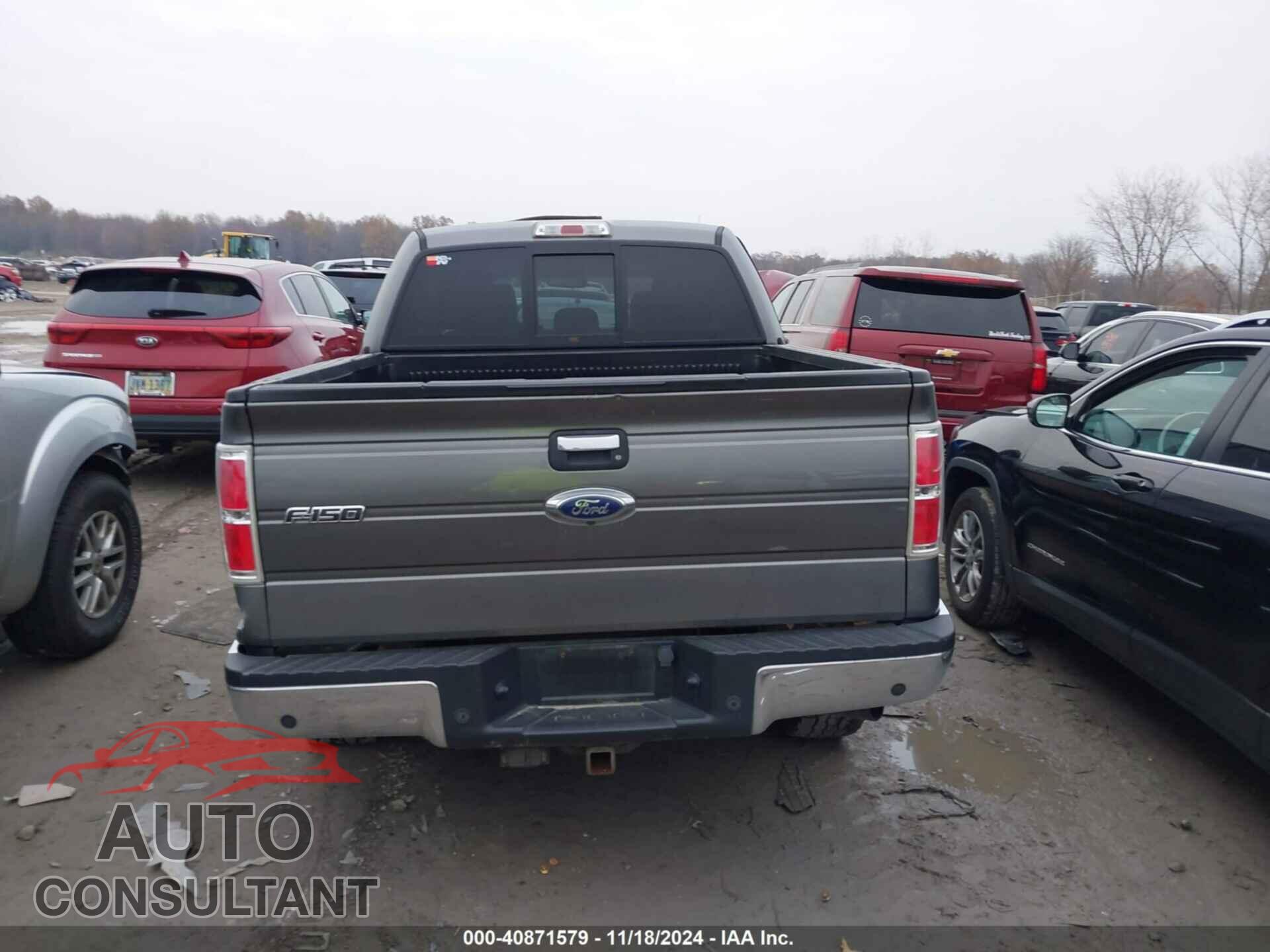 FORD F-150 2013 - 1FTFW1ET2DFD65414