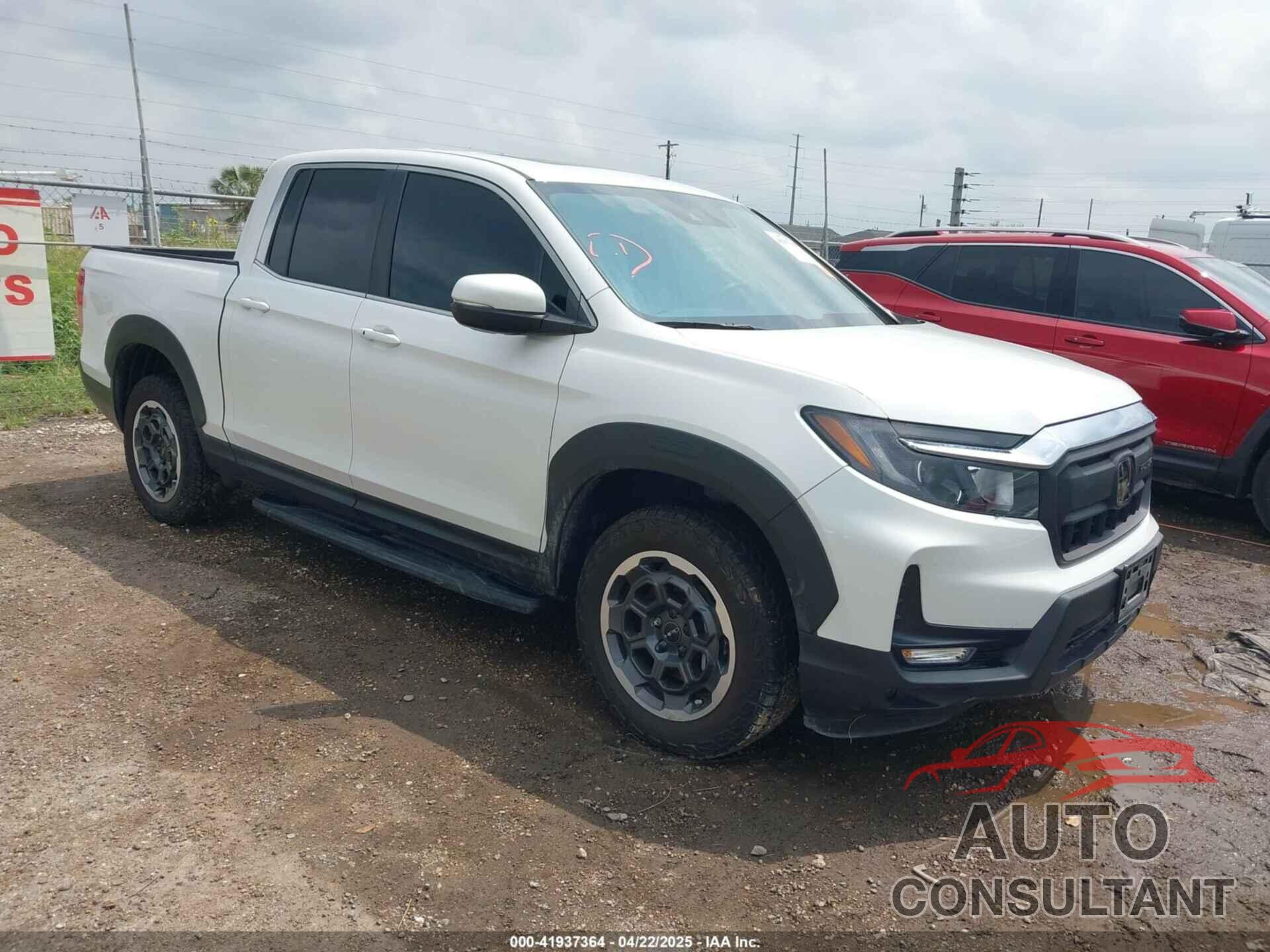 HONDA RIDGELINE 2024 - 5FPYK3F51RB013931