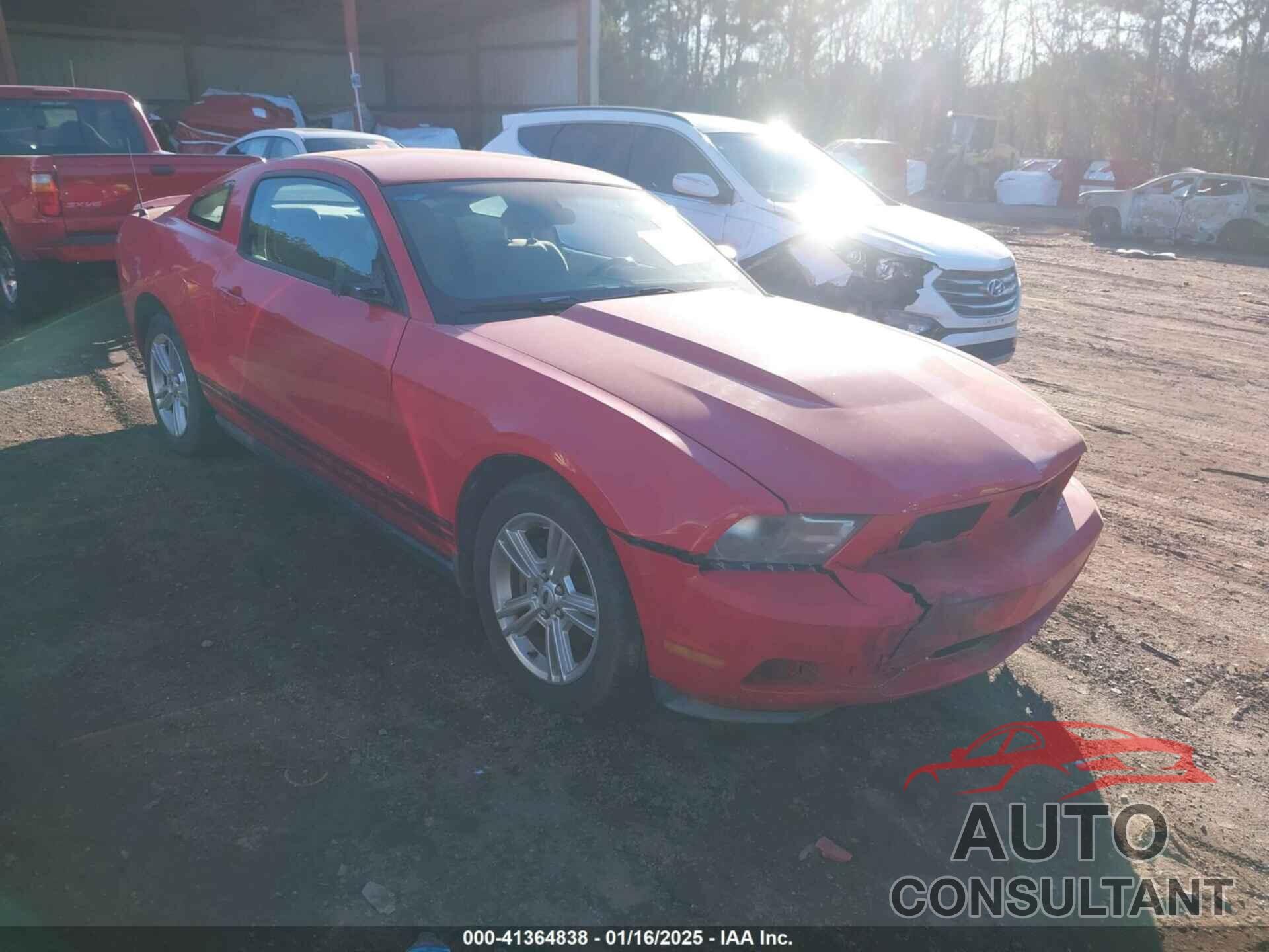 FORD MUSTANG 2010 - 1ZVBP8AN0A5137504