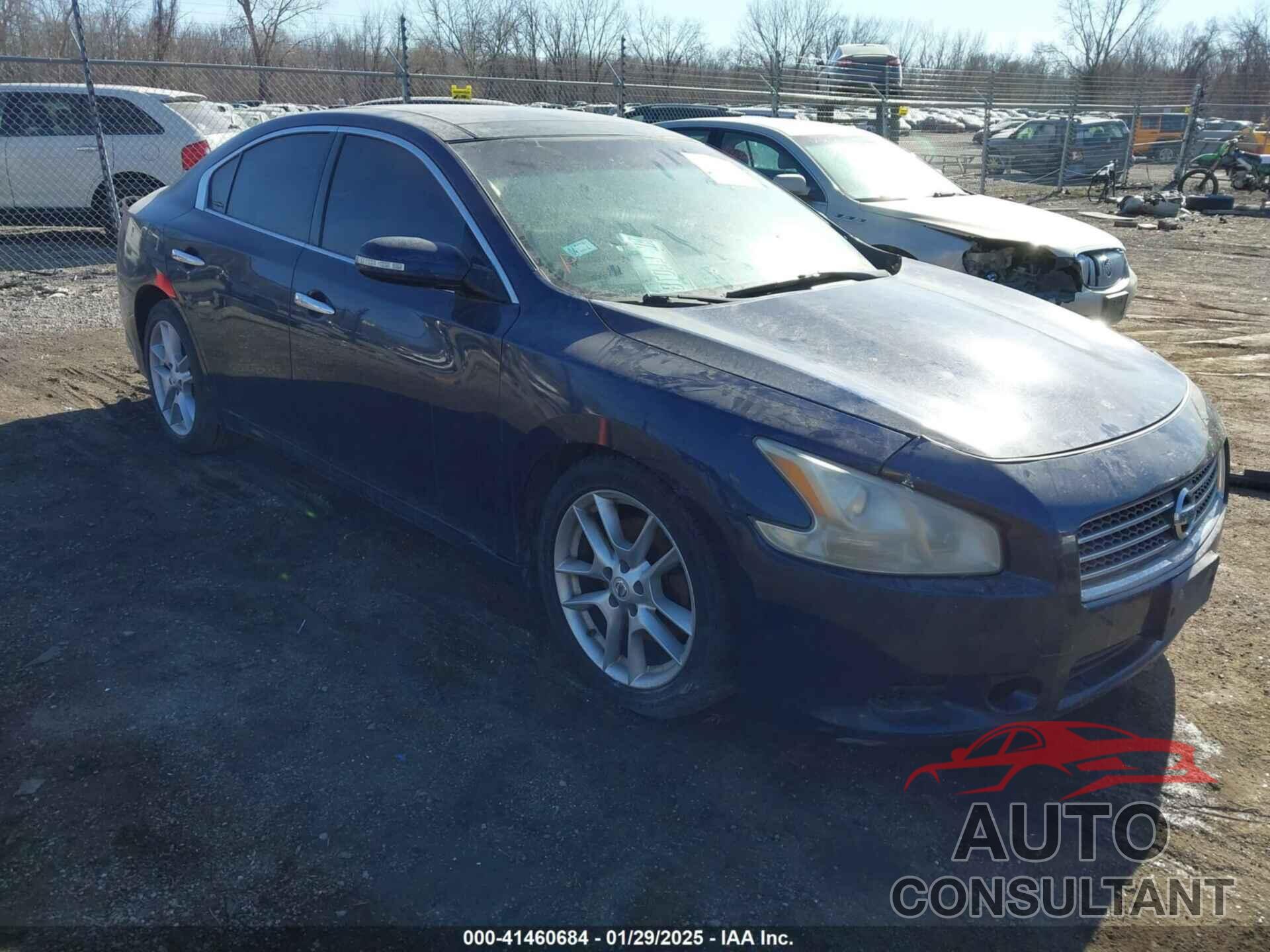 NISSAN MAXIMA 2011 - 1N4AA5AP3BC841229