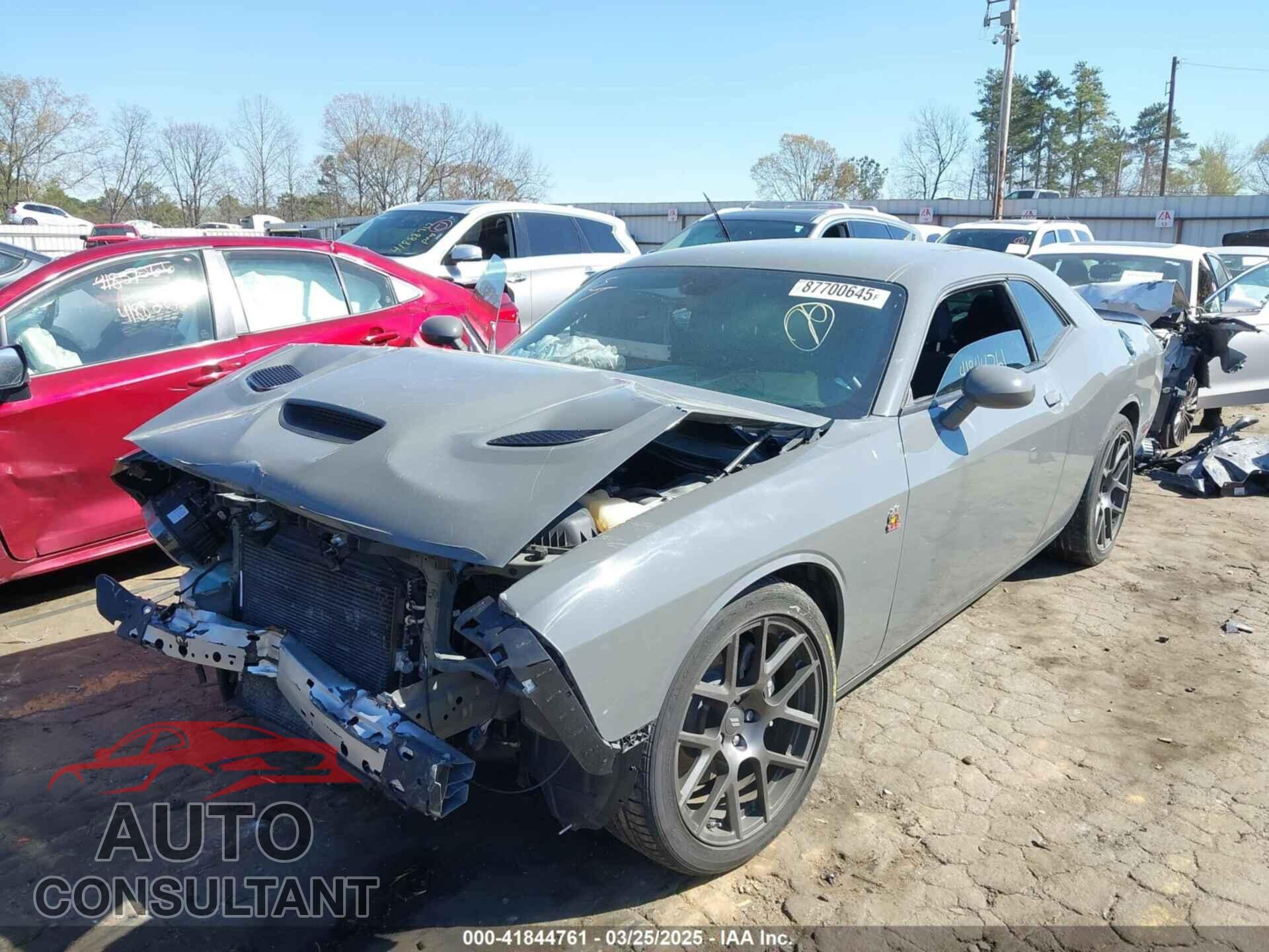 DODGE CHALLENGER 2019 - 2C3CDZFJ5KH596196