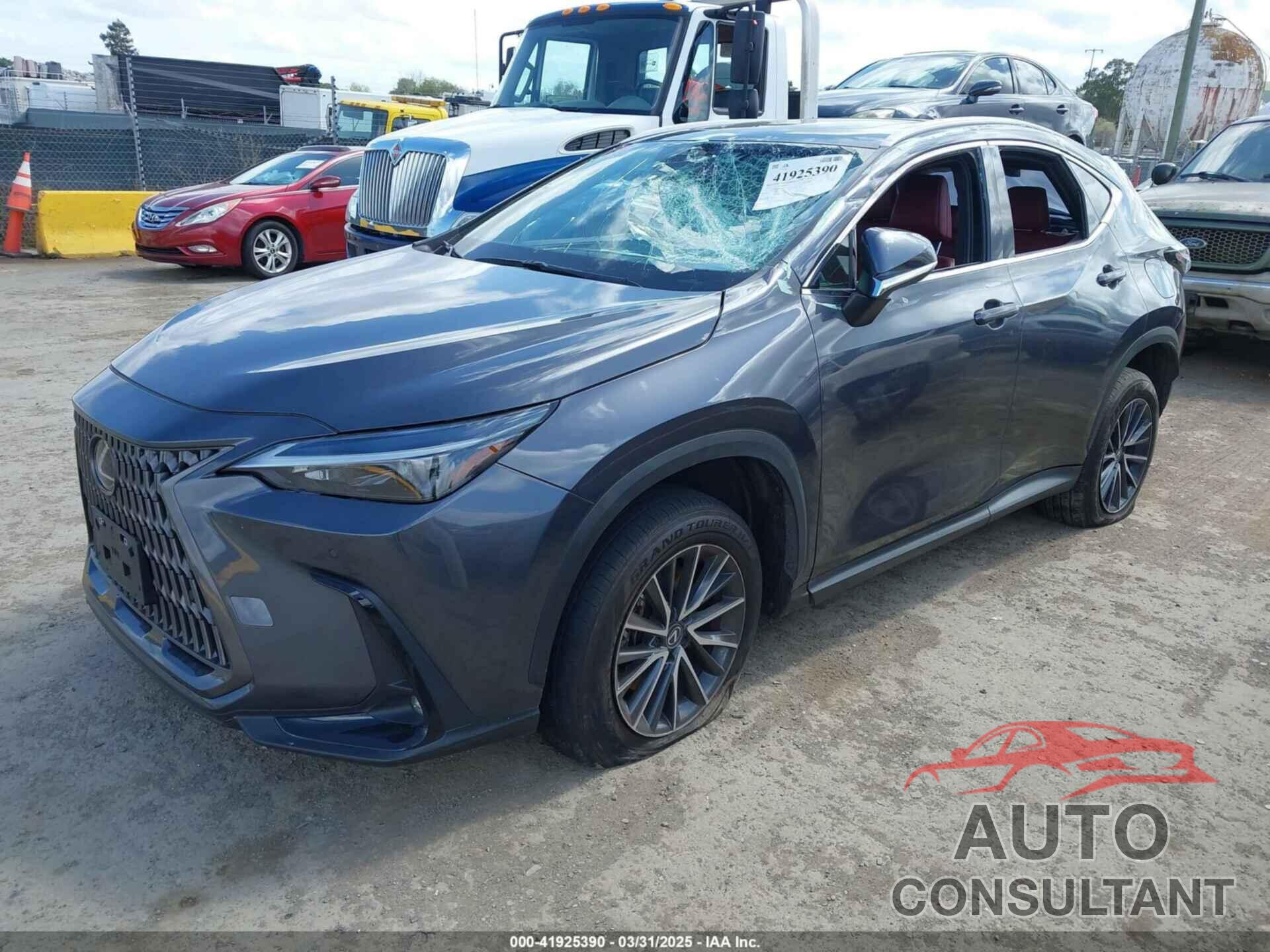 LEXUS NX 250 2024 - 2T2GDCAZ4RC006643