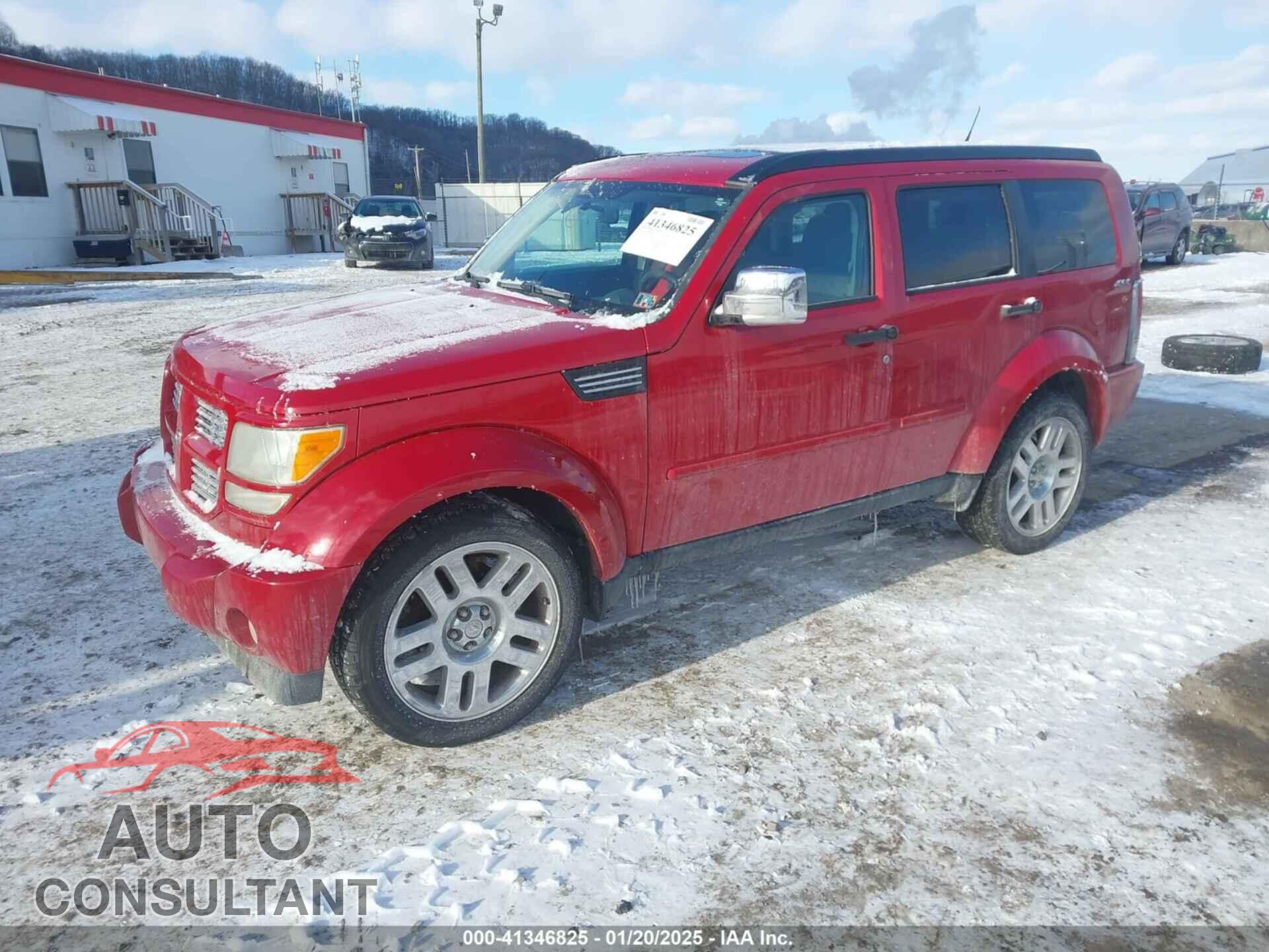DODGE NITRO 2011 - 1D4PU4GK3BW605831