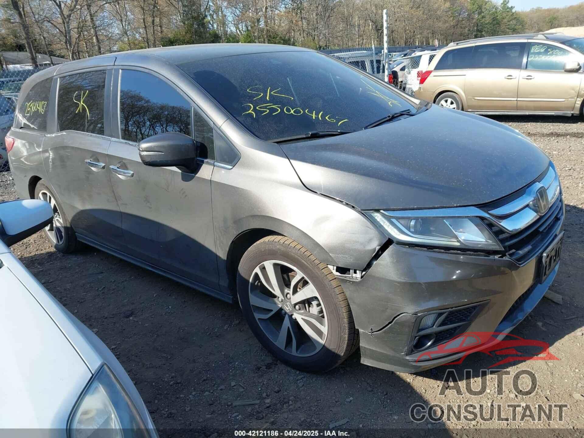 HONDA ODYSSEY 2019 - 5FNRL6H71KB035959