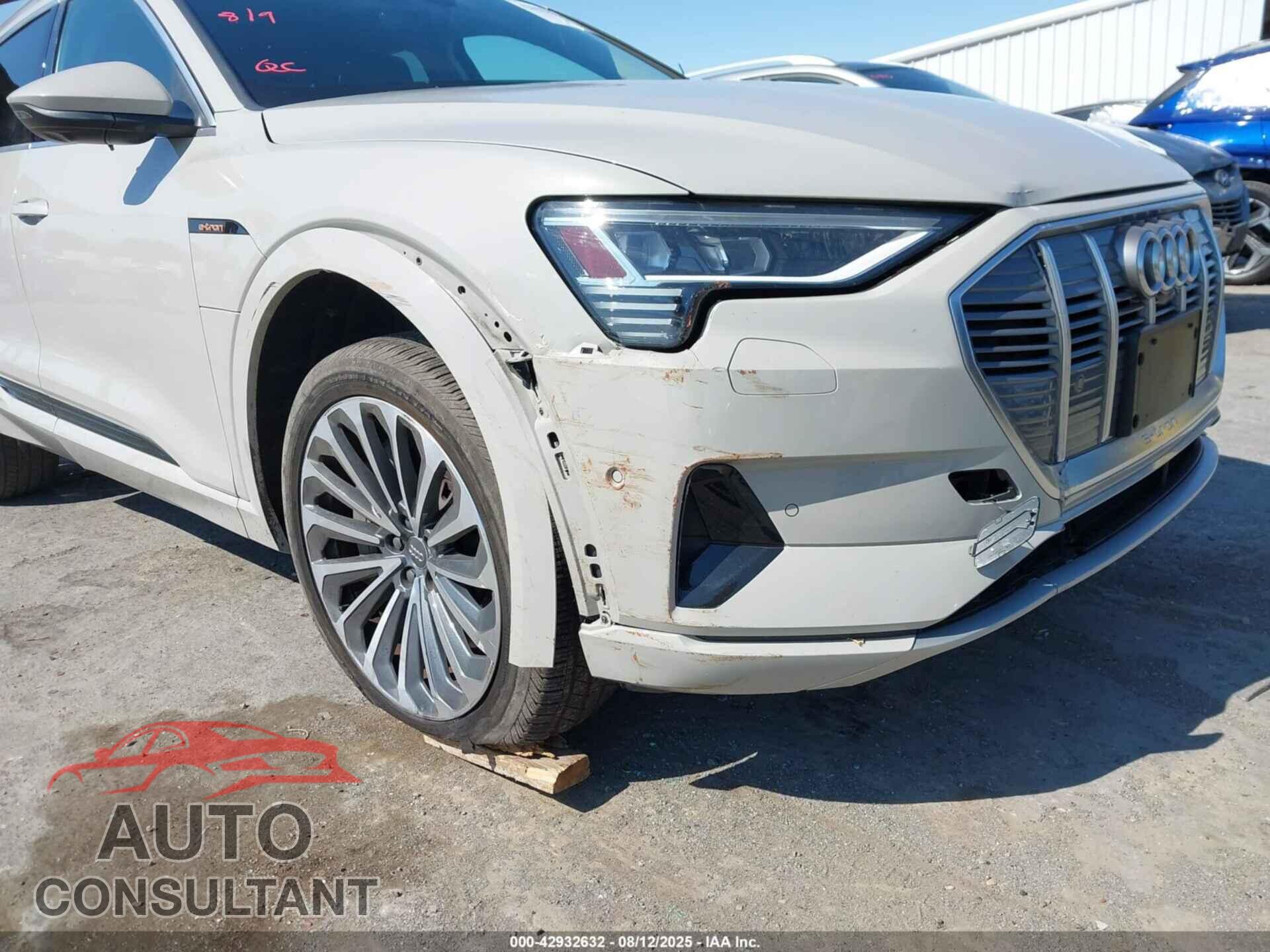 AUDI E-TRON 2019 - WA1VAAGE1KB024223