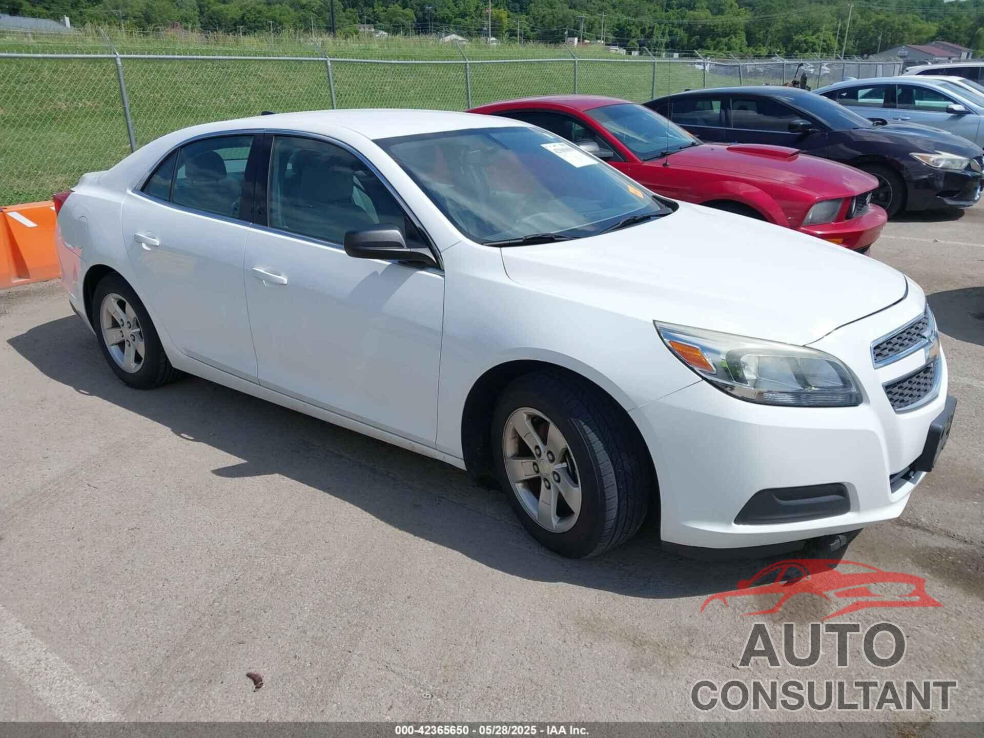 CHEVROLET MALIBU 2013 - 1G11B5SA8DF356208