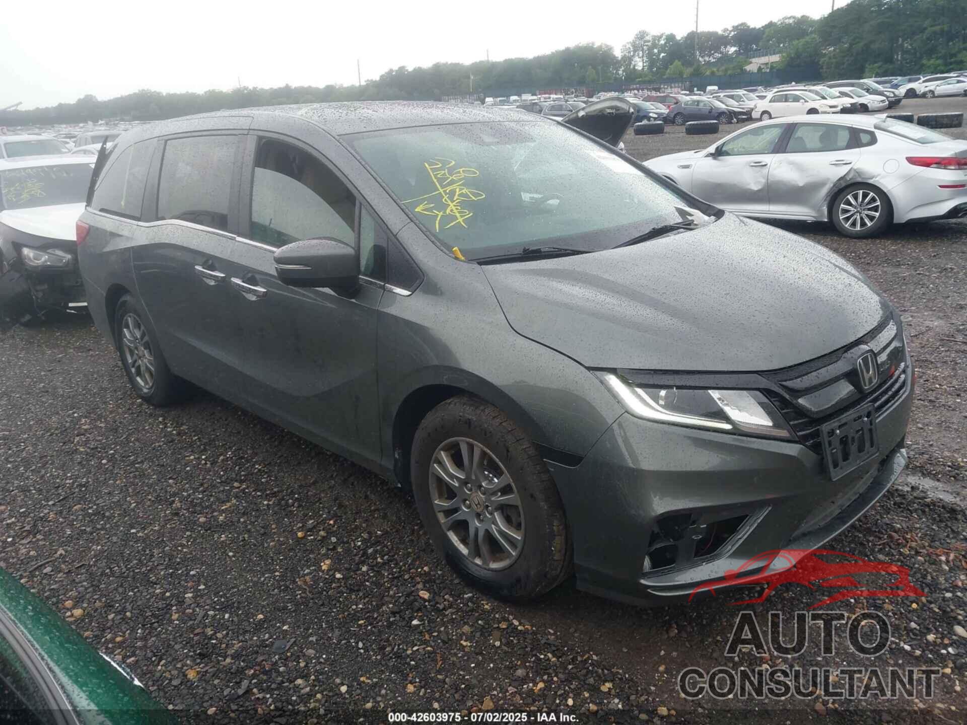HONDA ODYSSEY 2019 - 5FNRL6H76KB051932