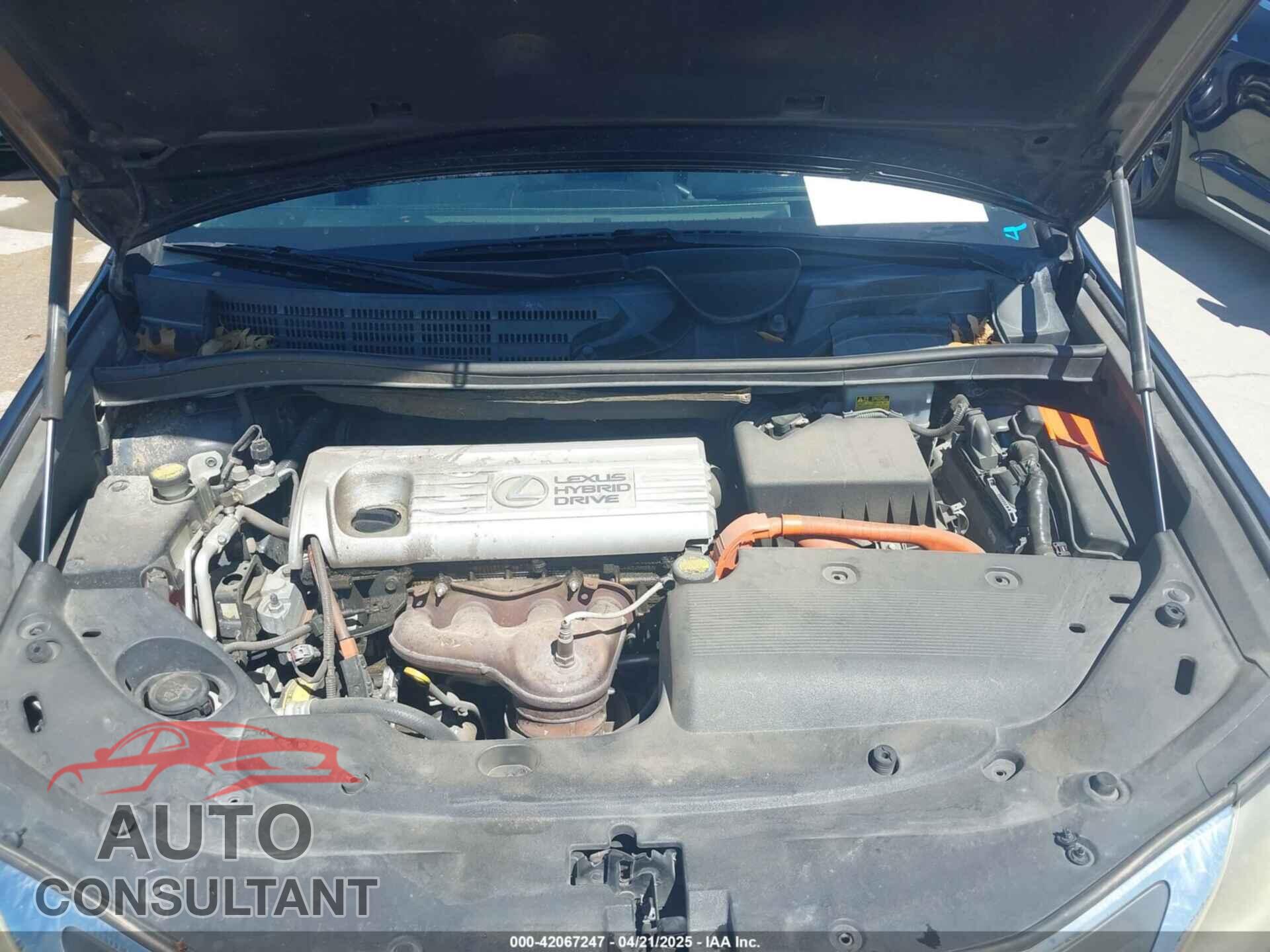 LEXUS HS 250H 2010 - JTHBB1BAXA2000929