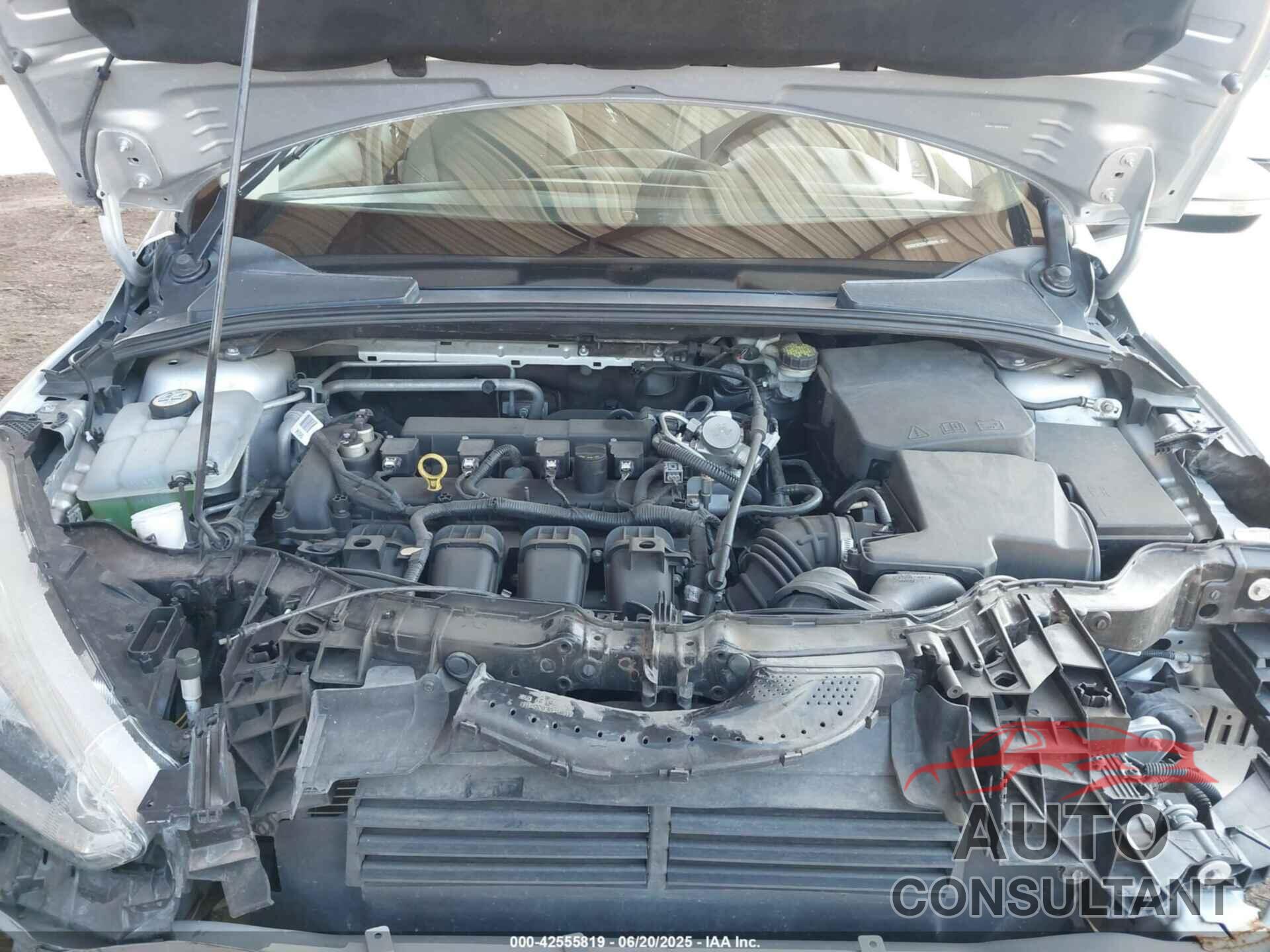 FORD FOCUS 2016 - 1FADP3F23GL405839
