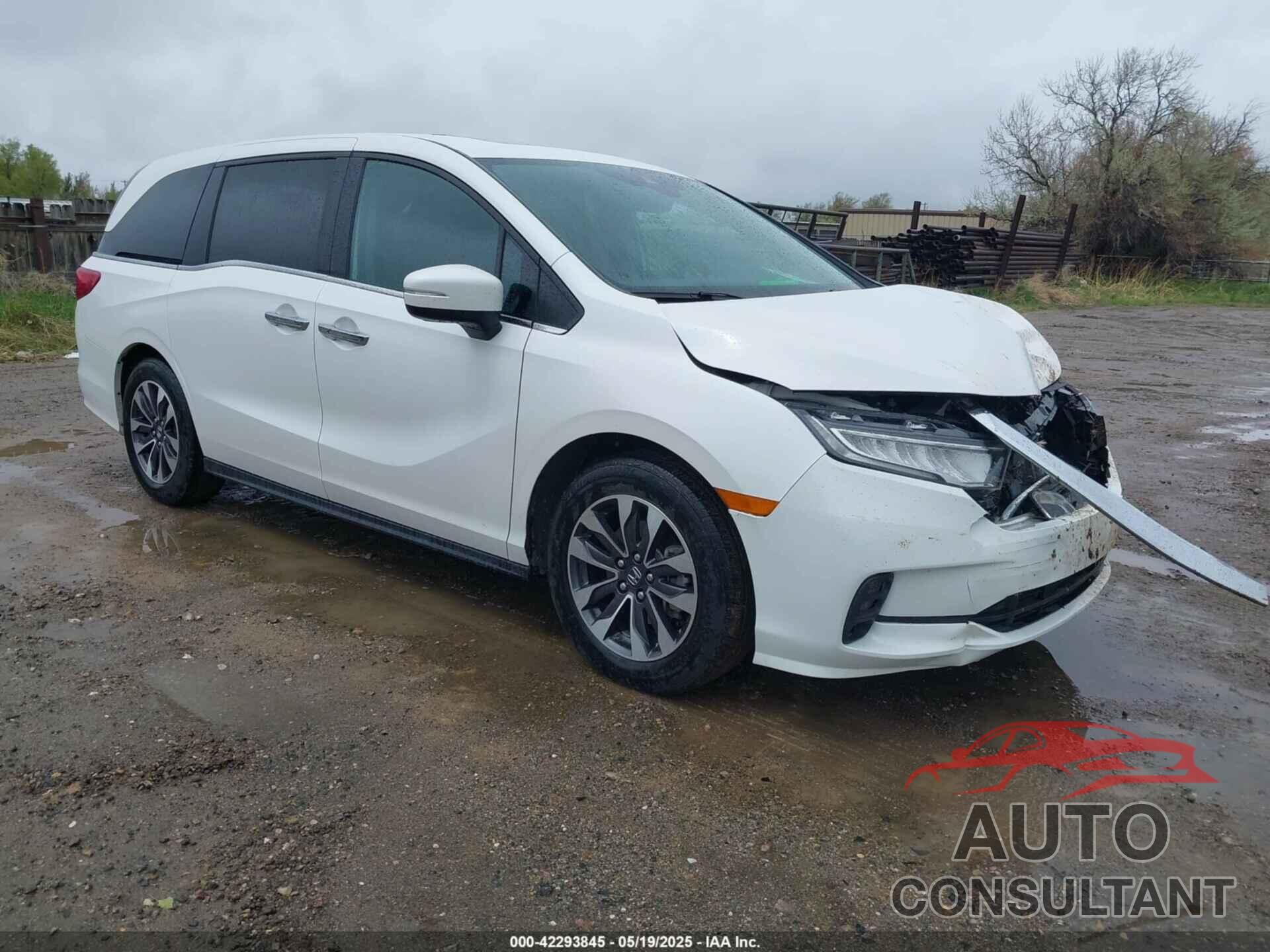 HONDA ODYSSEY 2024 - 5FNRL6H68RB070774