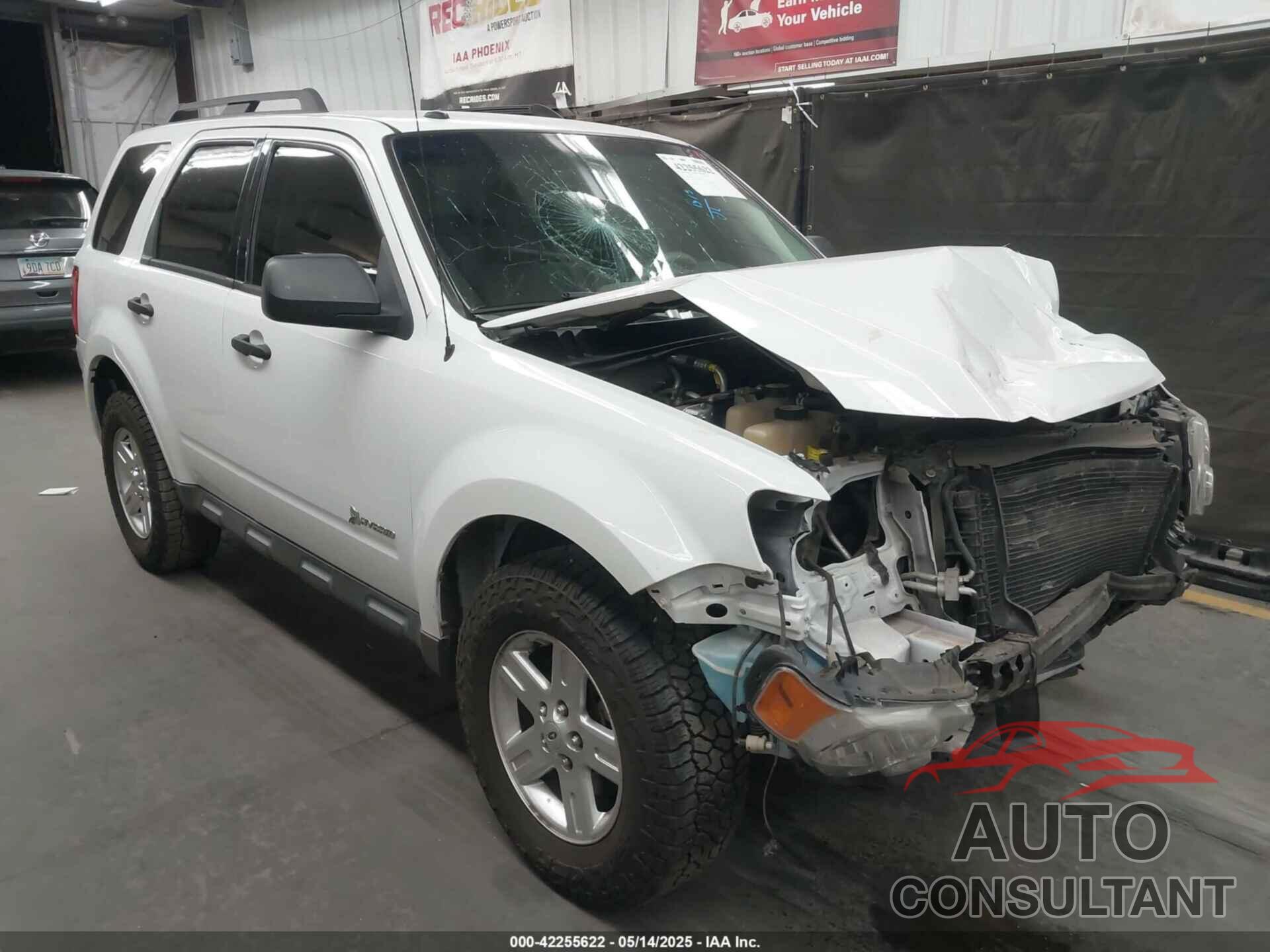 FORD ESCAPE 2011 - 1FMCU5K36BKC53834