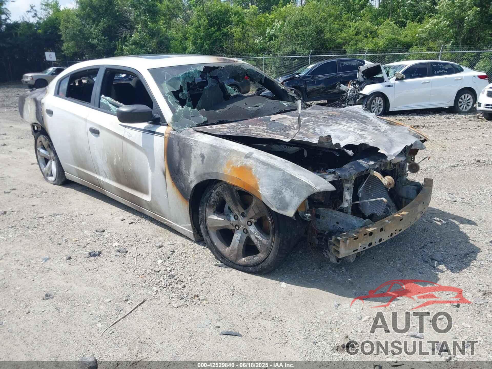 DODGE CHARGER 2014 - 2C3CDXCT1EH350583