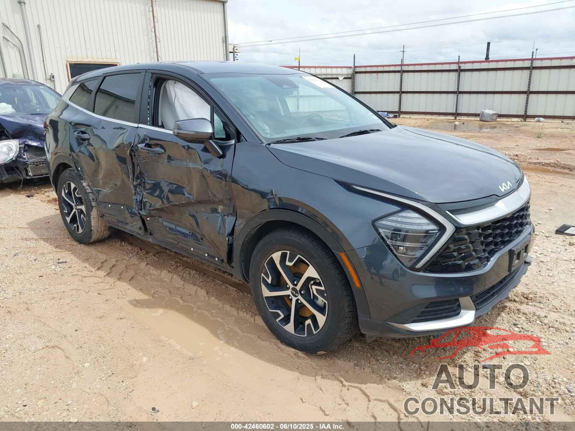 KIA SPORTAGE 2024 - 5XYK33DF4RG150748
