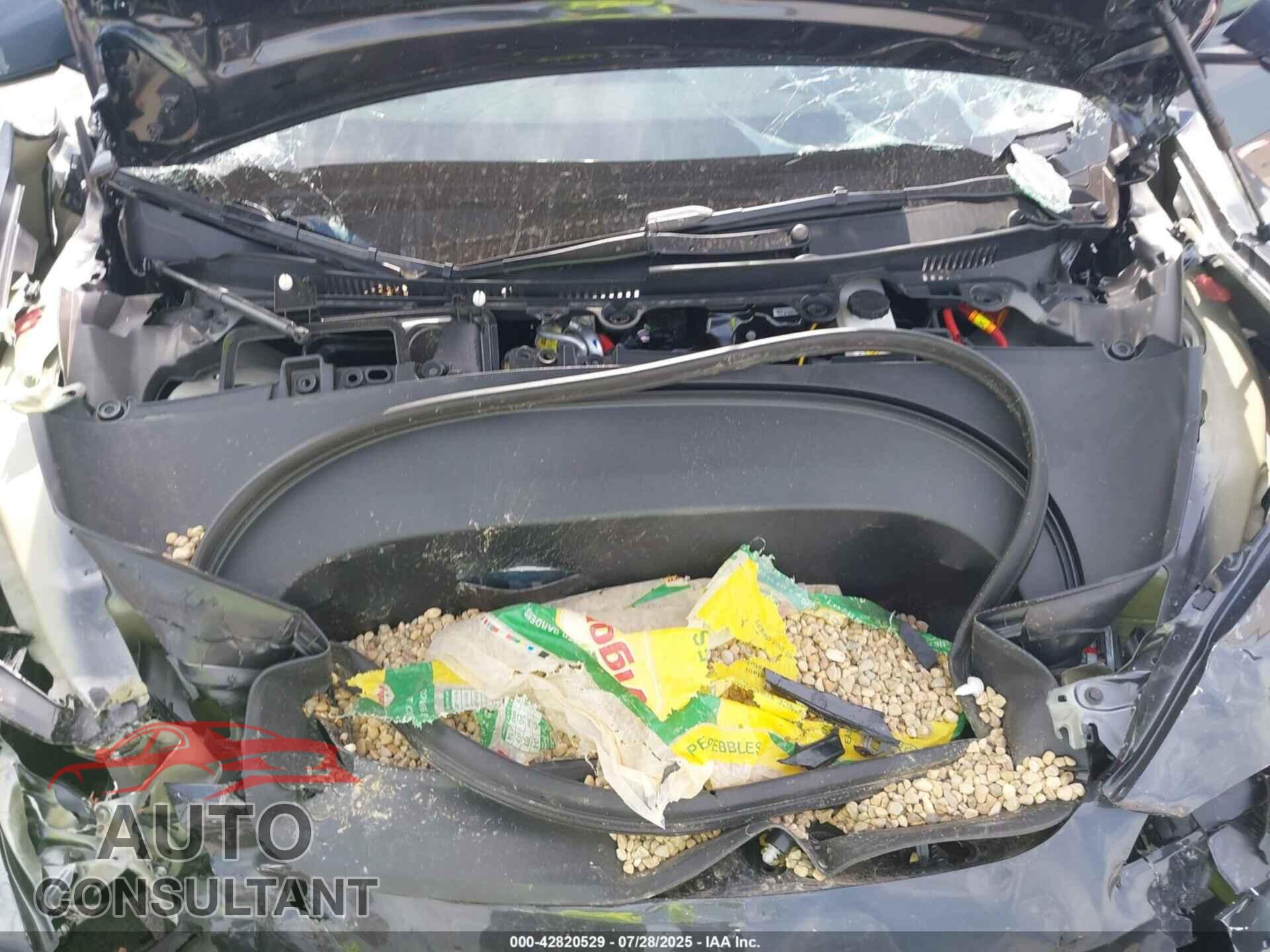 TESLA MODEL 3 2025 - 5YJ3E1EA2SF981717