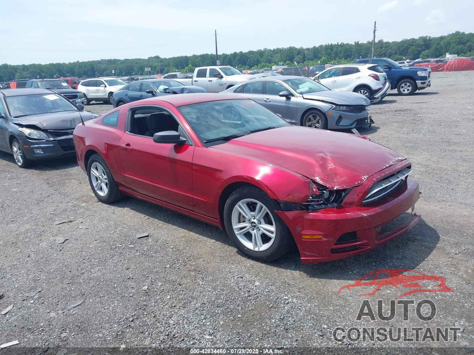 FORD MUSTANG 2014 - 1ZVBP8AM2E5280399