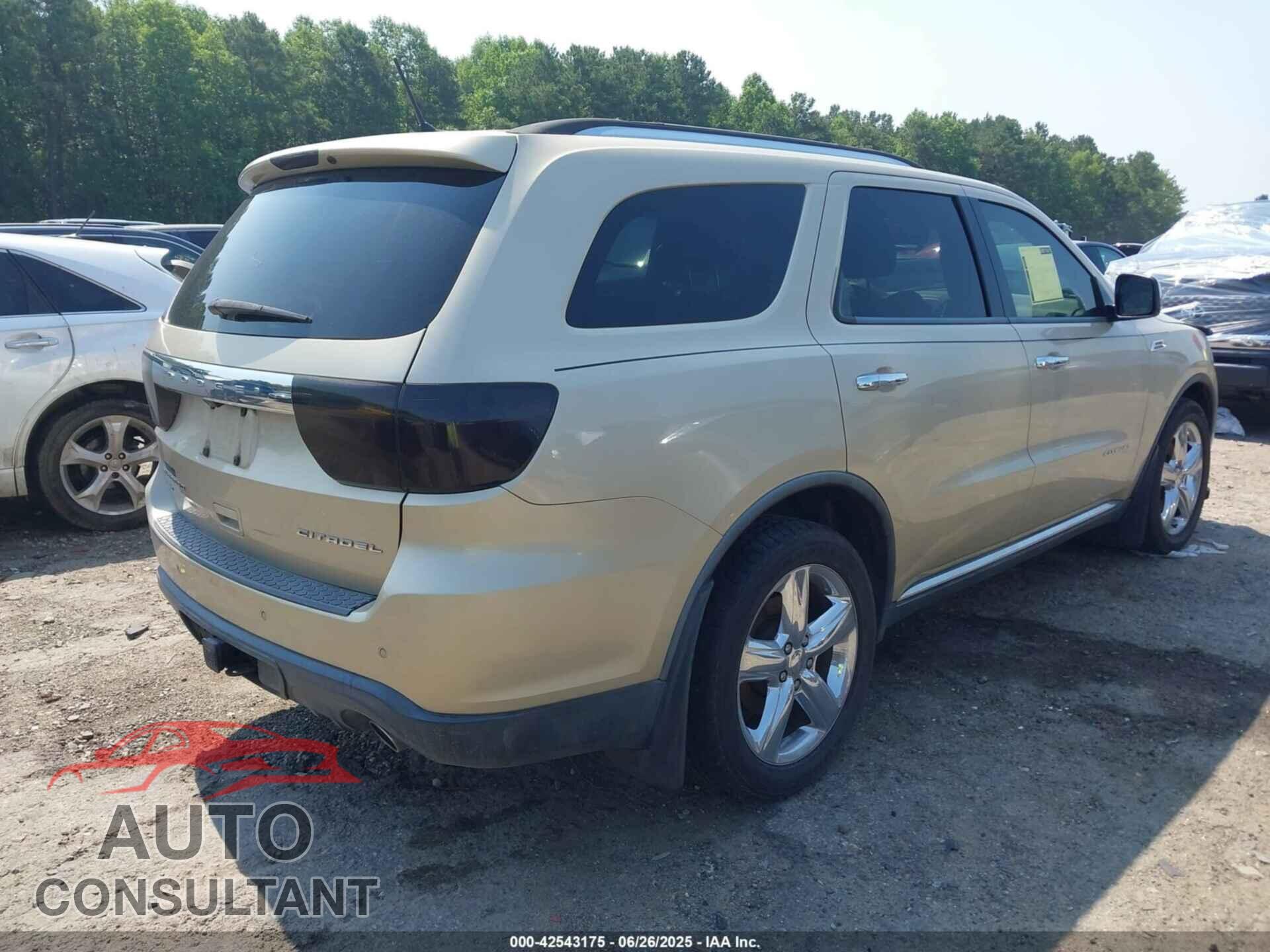 DODGE DURANGO 2011 - 1D4RE5GG9BC667775