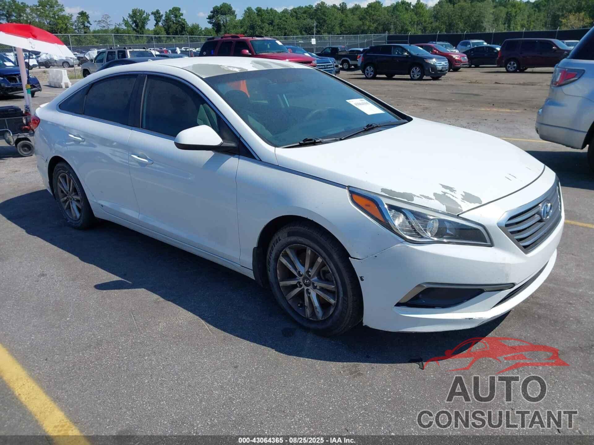 HYUNDAI SONATA 2016 - 5NPE24AF2GH337275