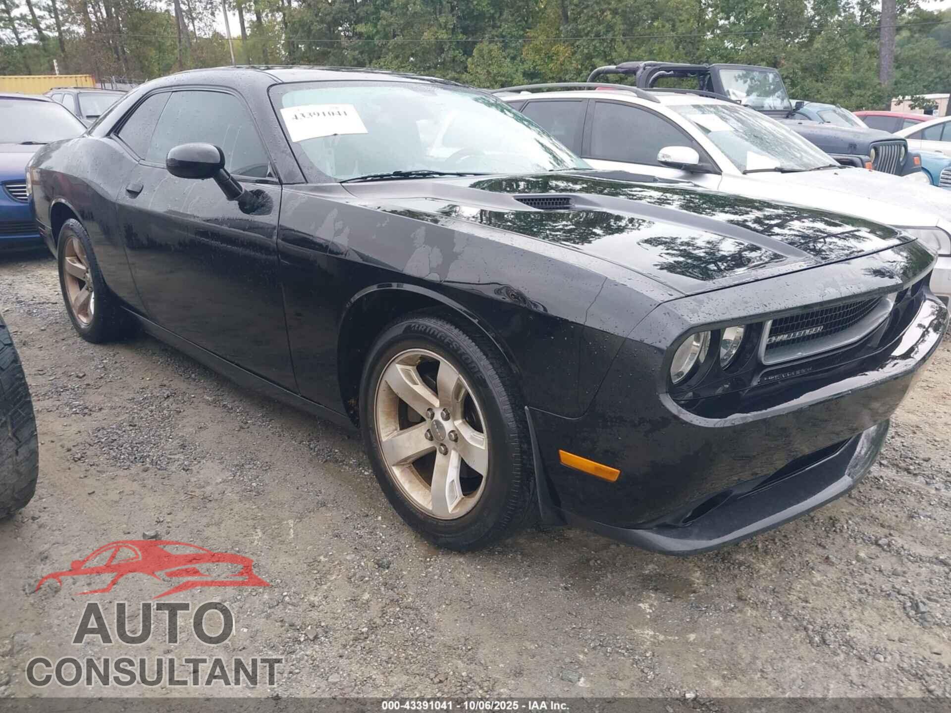 DODGE CHALLENGER 2014 - 2C3CDYAG0EH285933