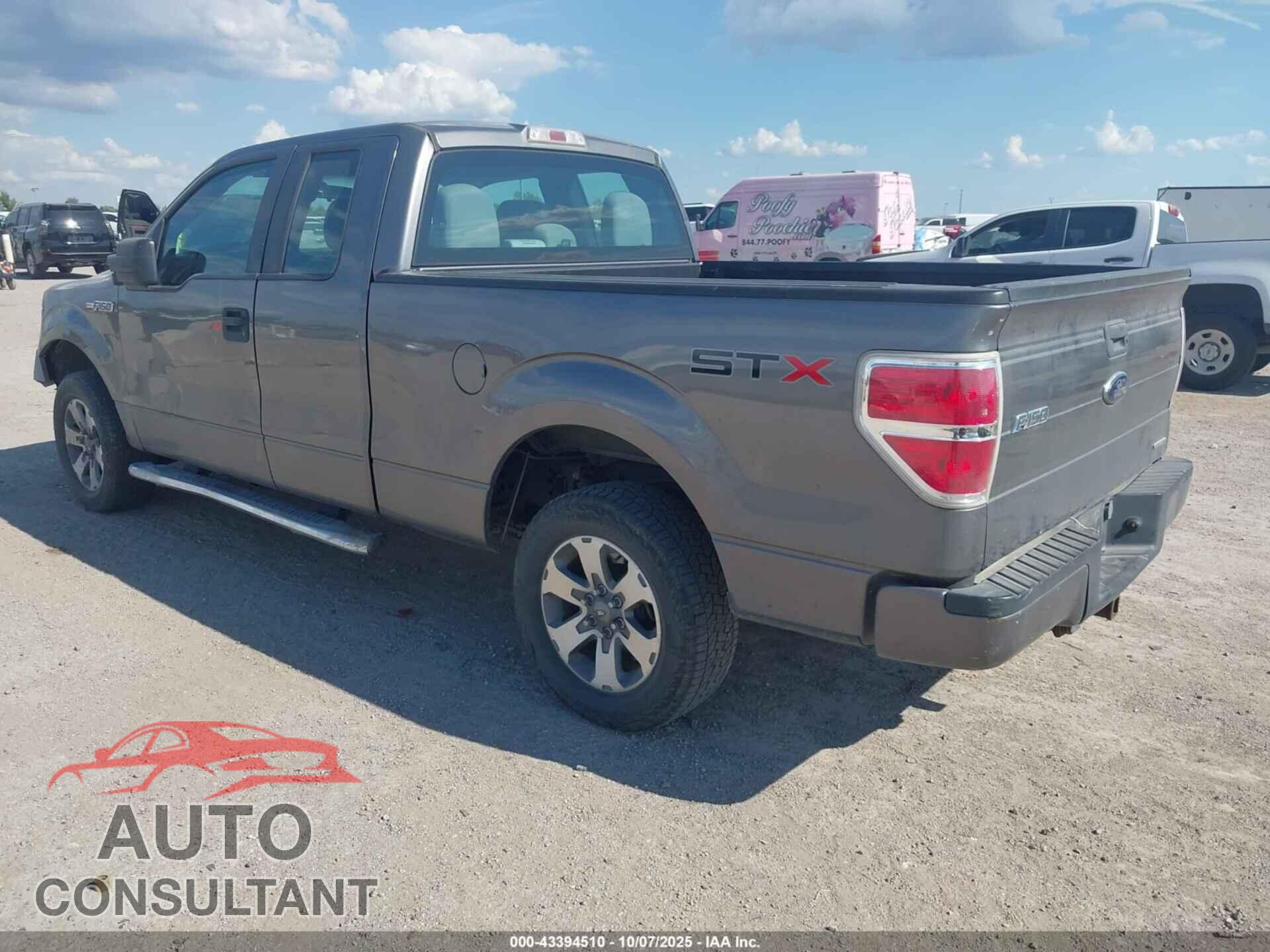 FORD F-150 2013 - 1FTFX1CF7DFD03162