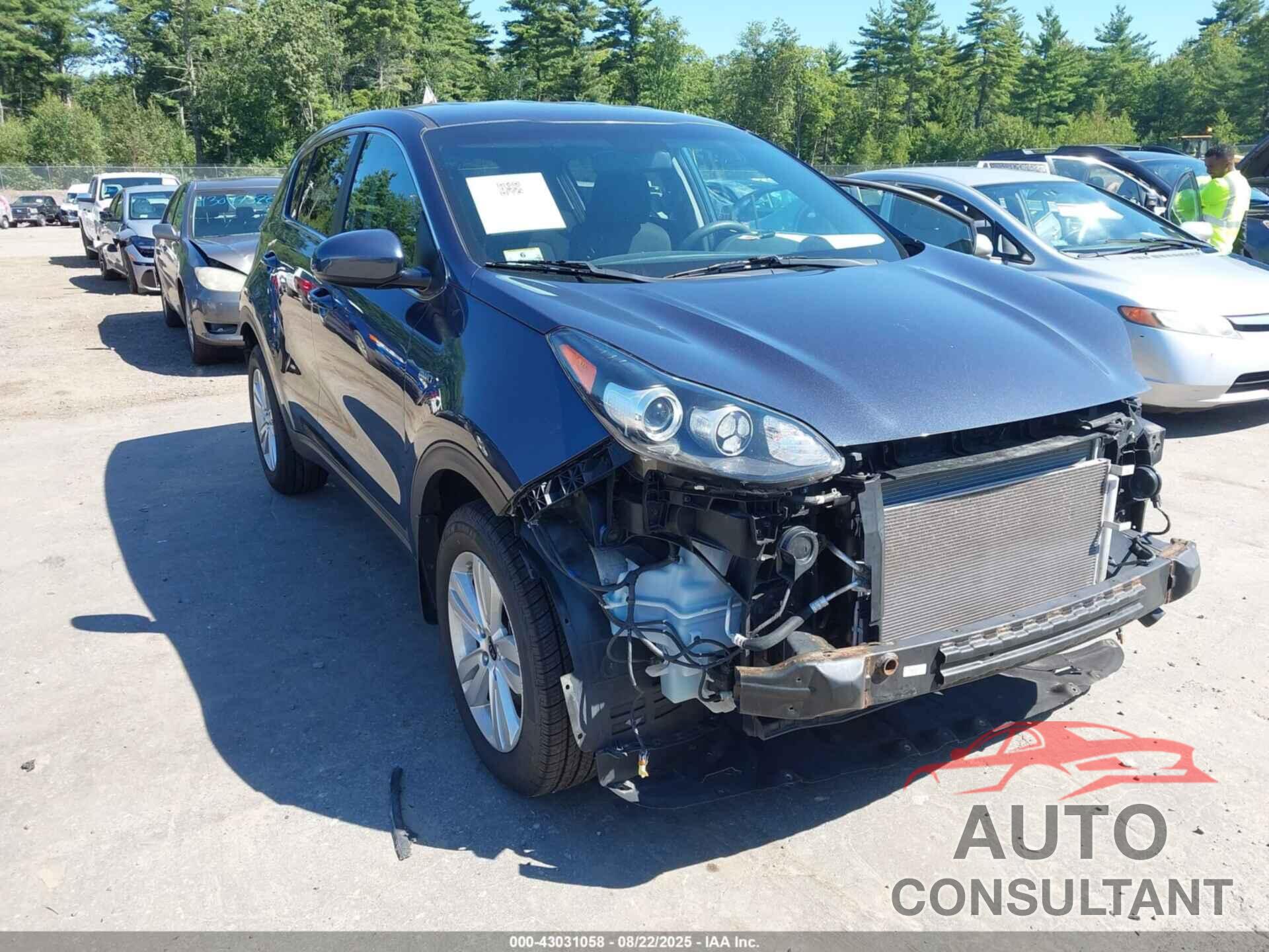 KIA SPORTAGE 2019 - KNDPMCAC9K7491255