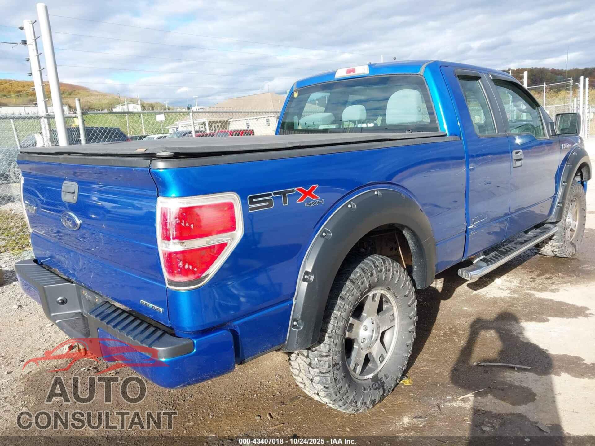 FORD F-150 2013 - 1FTFX1EF2DFD70202