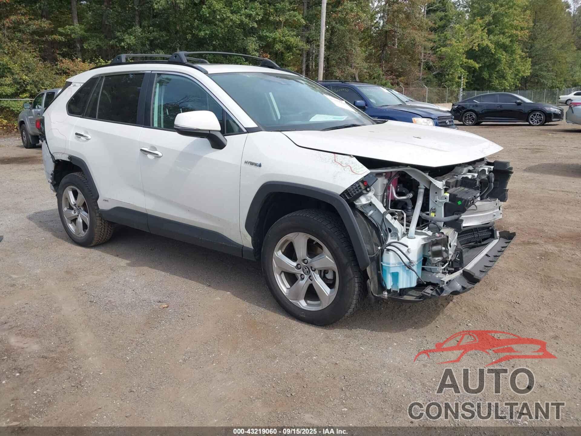TOYOTA RAV4 HYBRID 2019 - 2T3DWRFV0KW016611