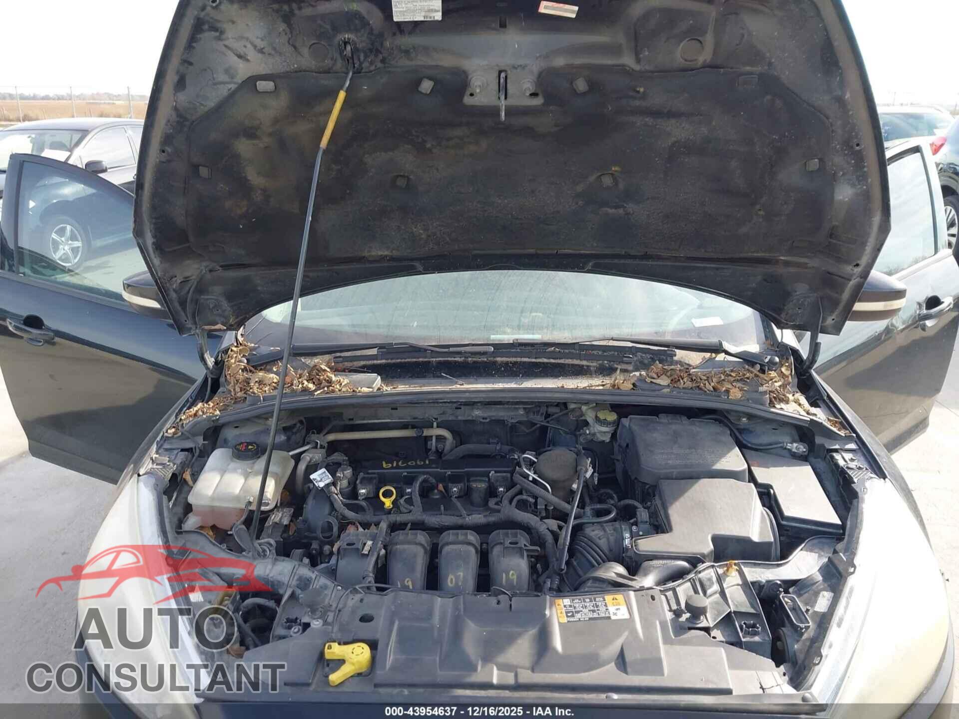 FORD FOCUS 2015 - 1FADP3F26FL374441