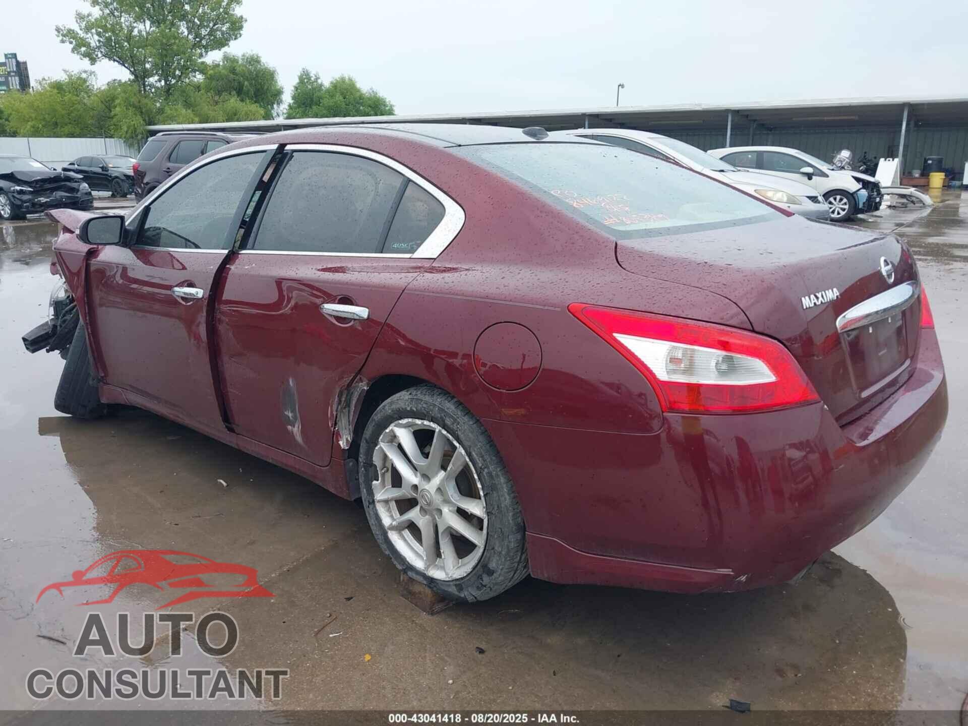 NISSAN MAXIMA 2010 - 1N4AA5AP1AC805389