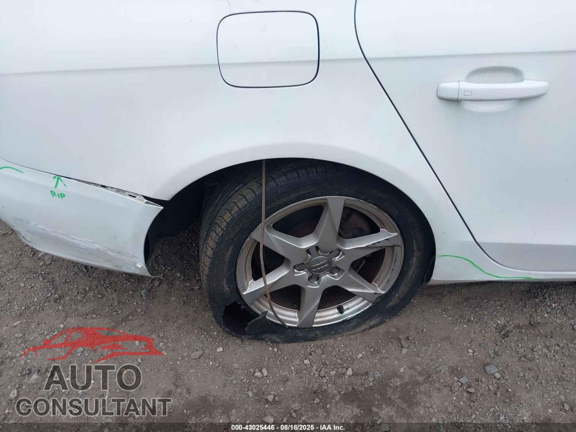 AUDI A4 2009 - WAULF78K89A136584