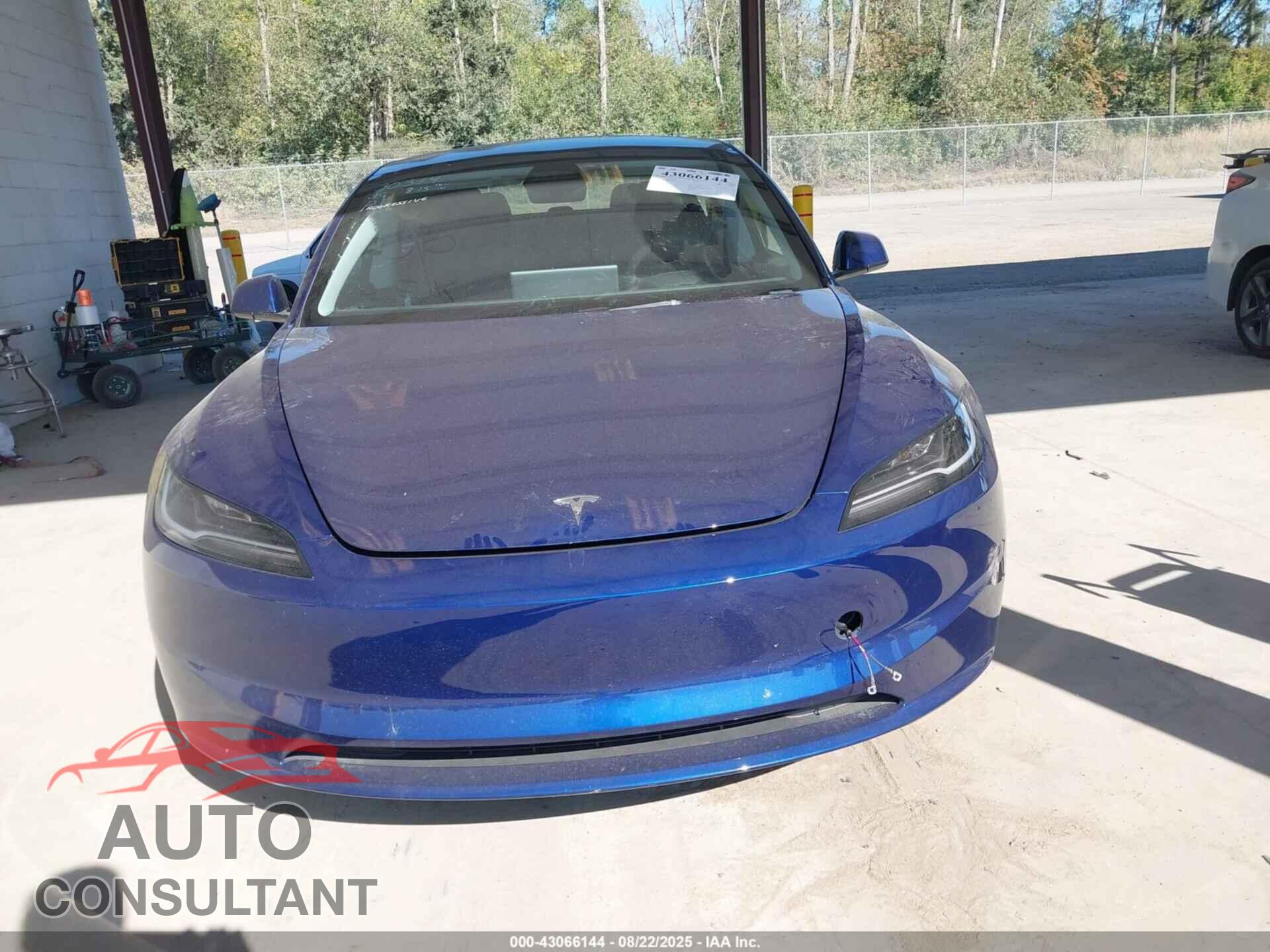 TESLA MODEL 3 2025 - 5YJ3E1EB8SF928755