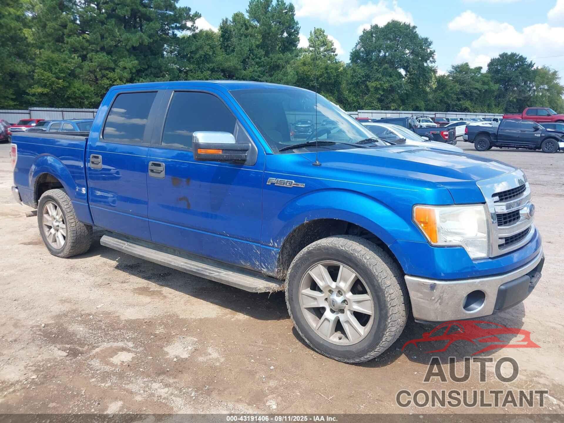 FORD F-150 2013 - 1FTEW1CM3DKF06702