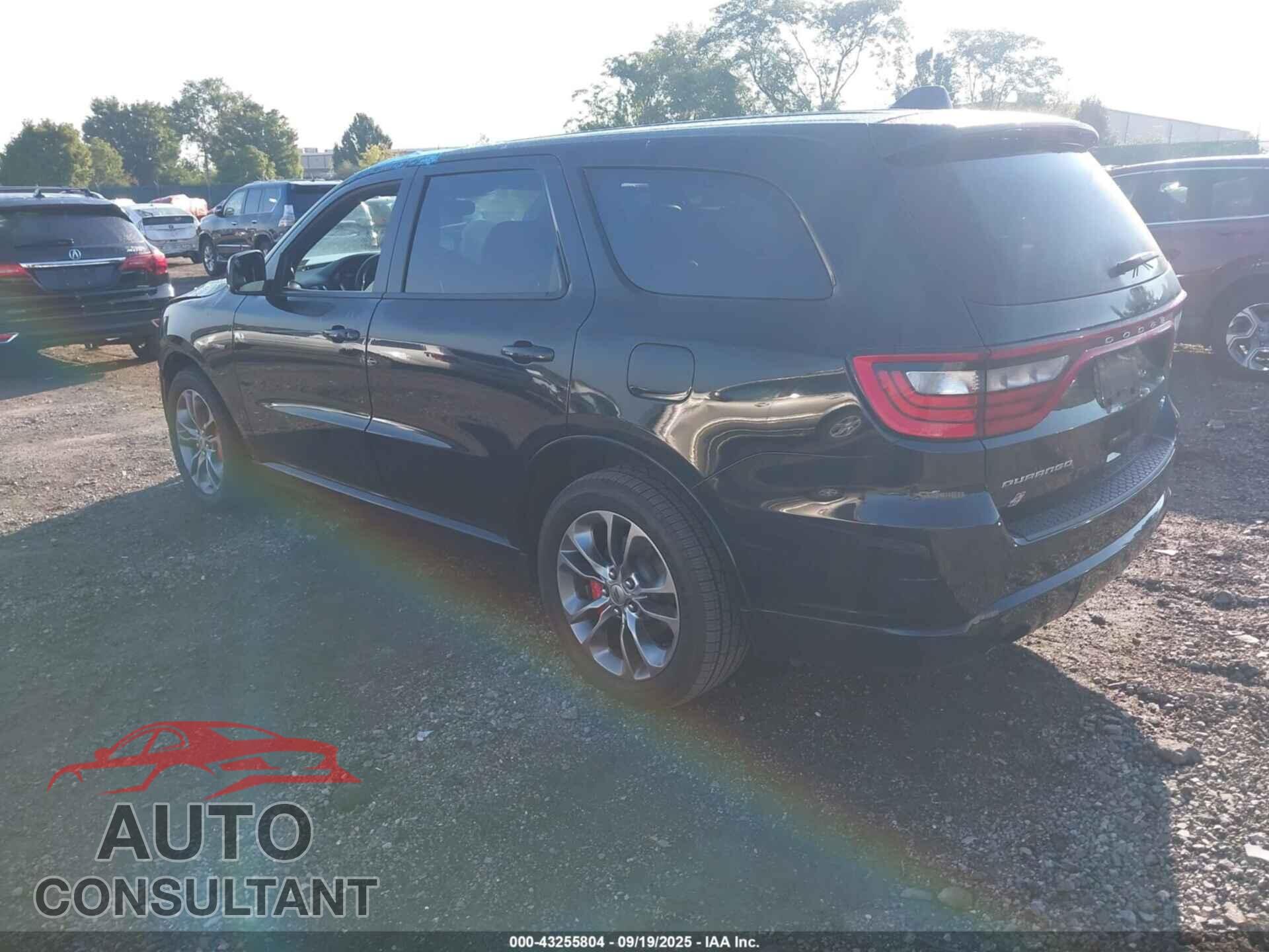 DODGE DURANGO 2019 - 1C4SDJCT7KC738436