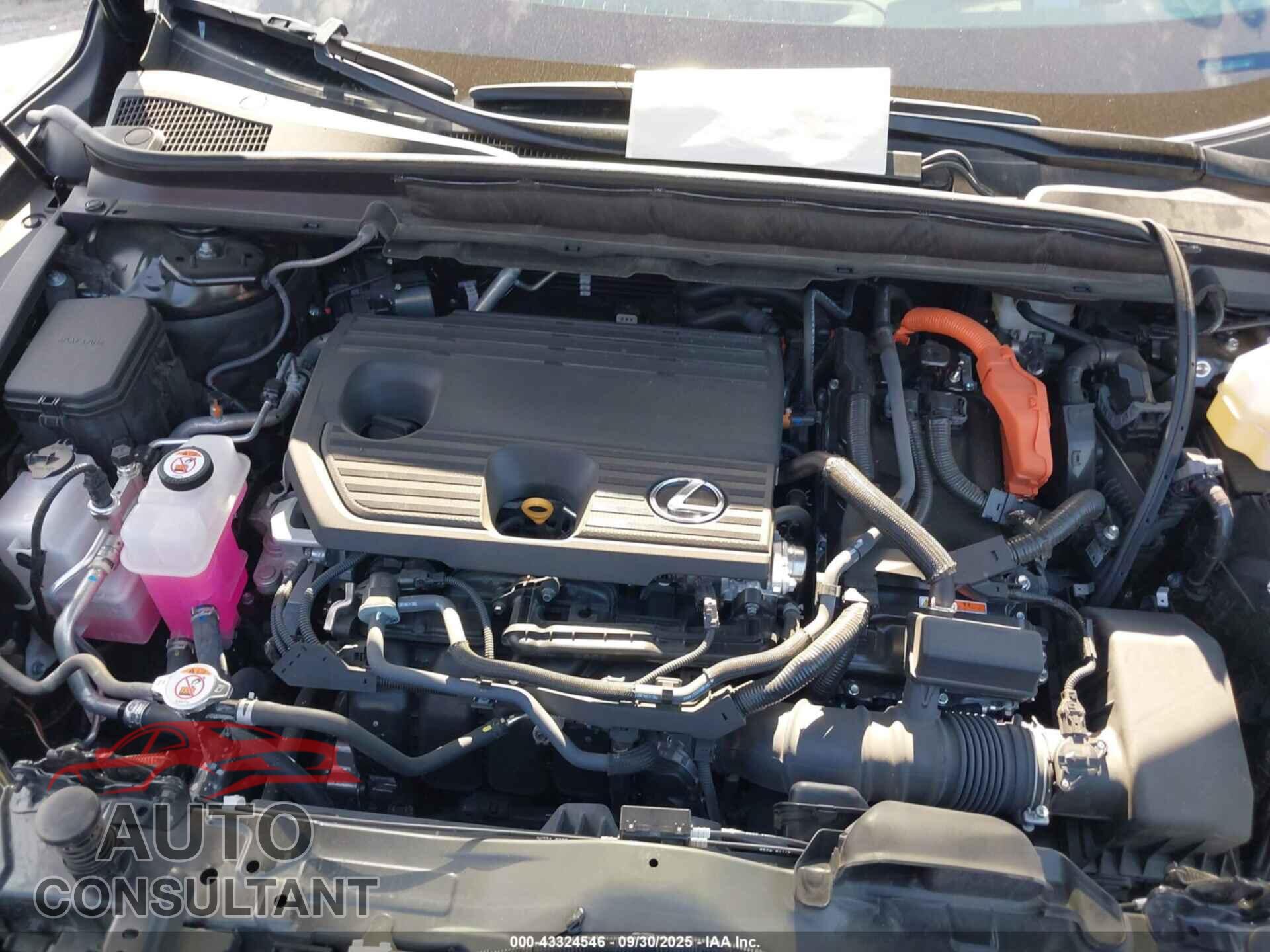 LEXUS RX 350H 2024 - 2T2BBMCA2RC061623