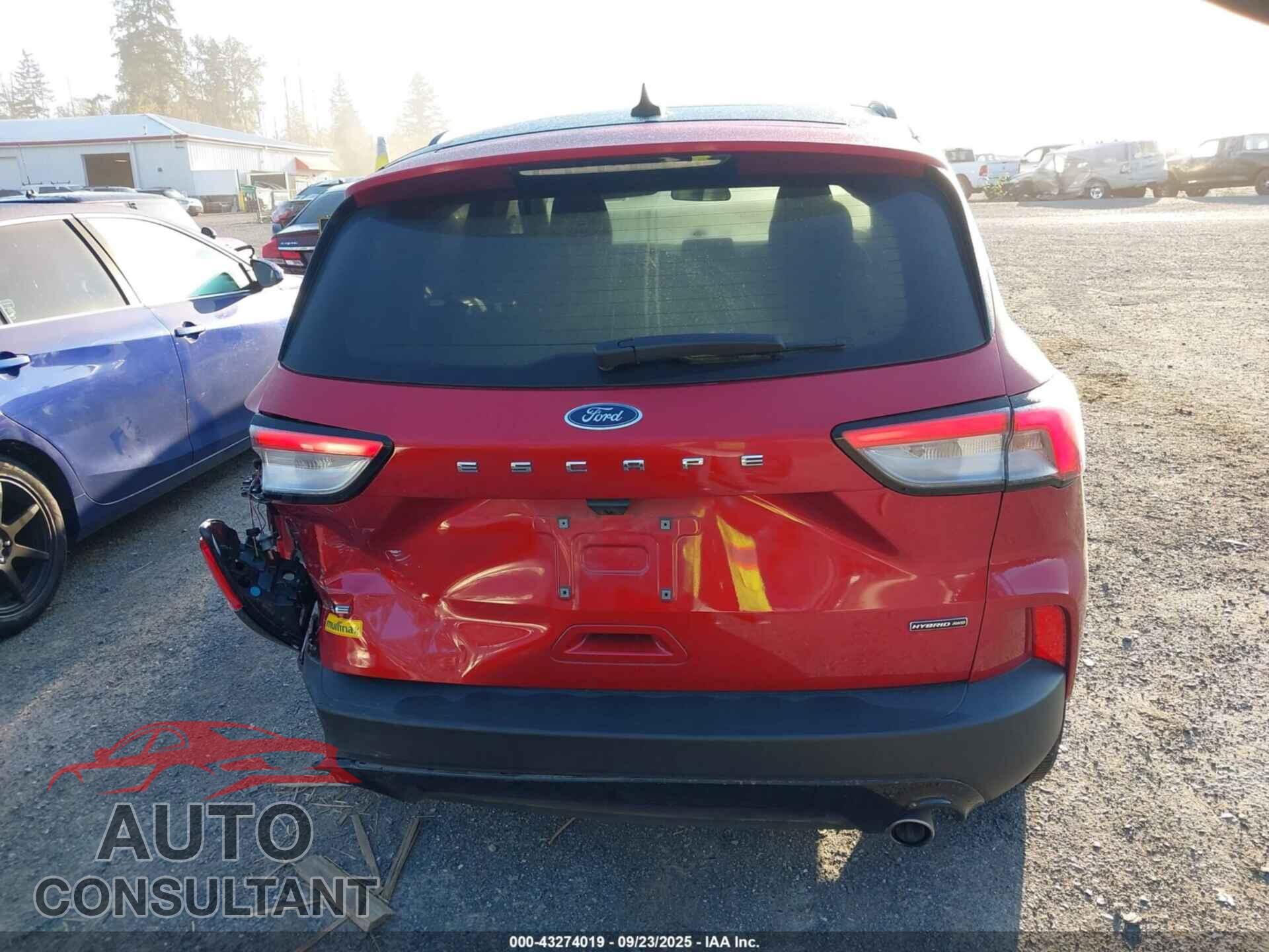 FORD ESCAPE 2021 - 1FMCU9BZ6MUB20249