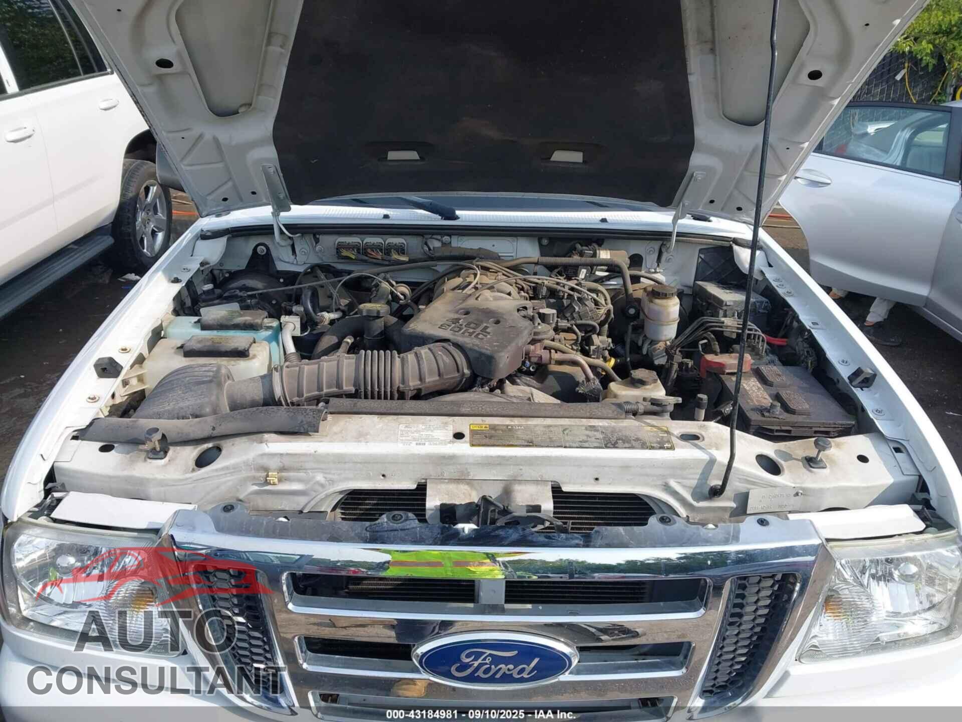 FORD RANGER 2011 - 1FTLR4FE7BPB22829