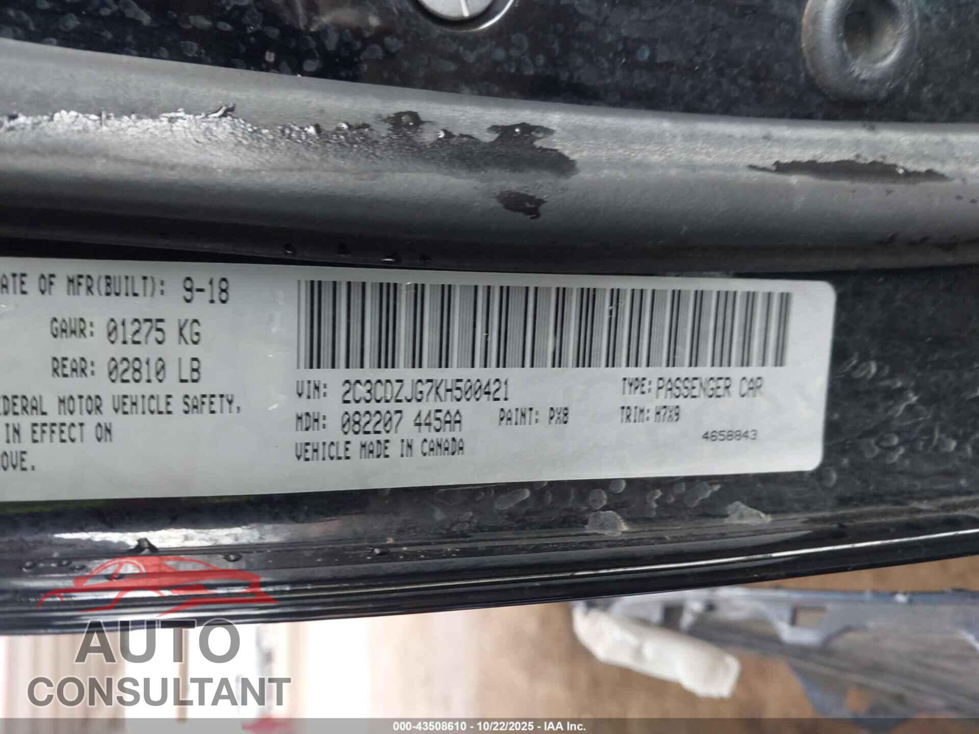 DODGE CHALLENGER 2019 - 2C3CDZJG7KH500421