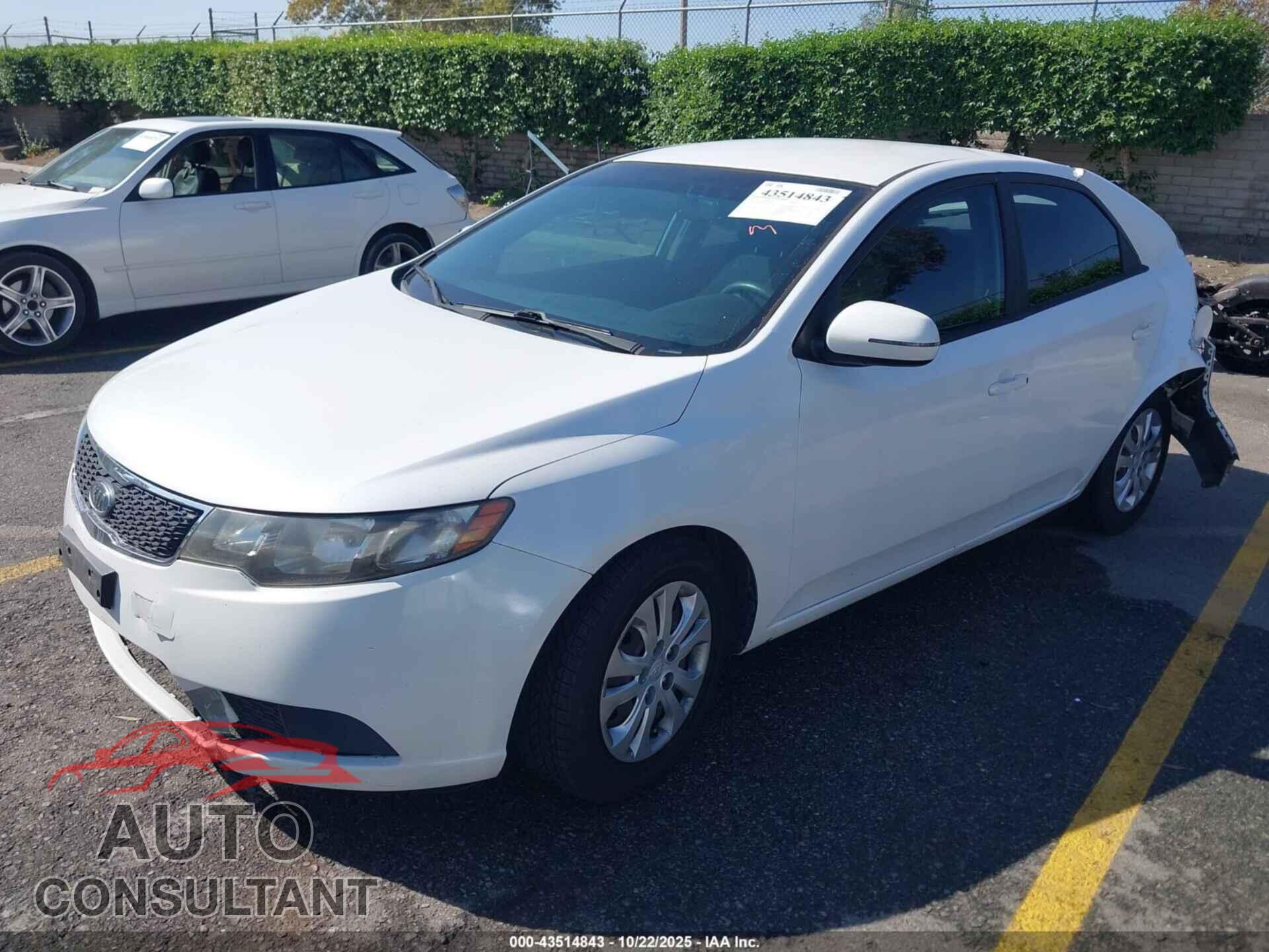 KIA FORTE 2012 - KNAFU4A24C5512726