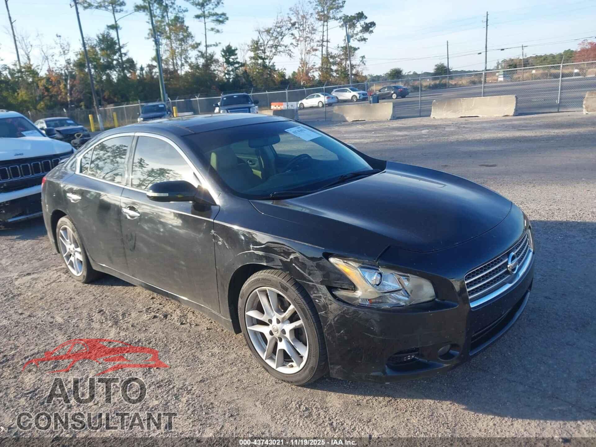 NISSAN MAXIMA 2009 - 1N4AA51E89C837573