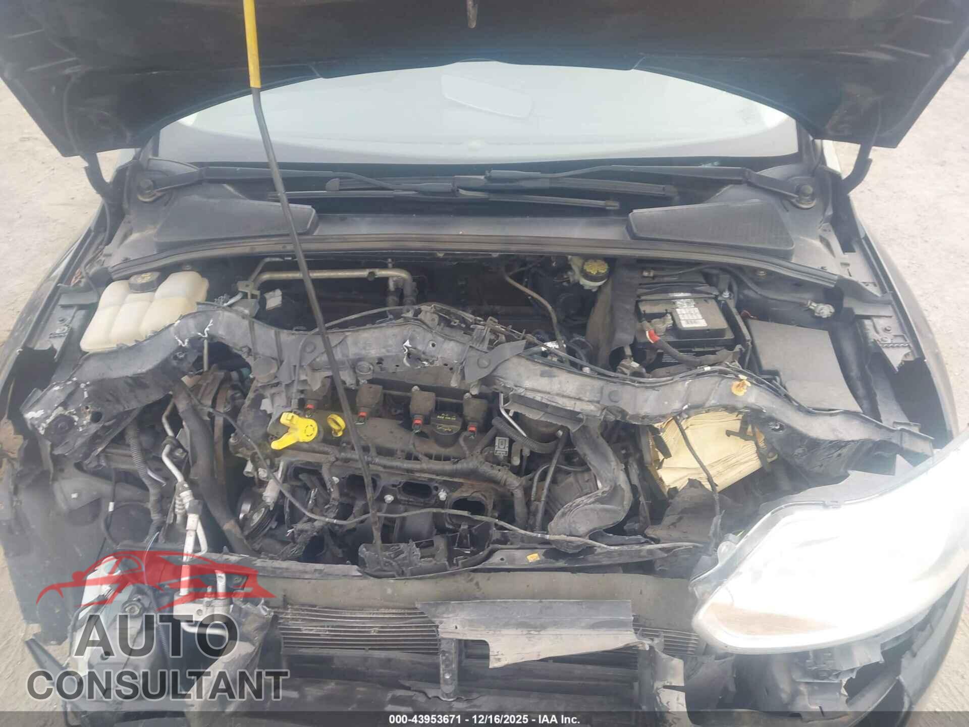 FORD FOCUS 2014 - 1FADP3F21EL236787