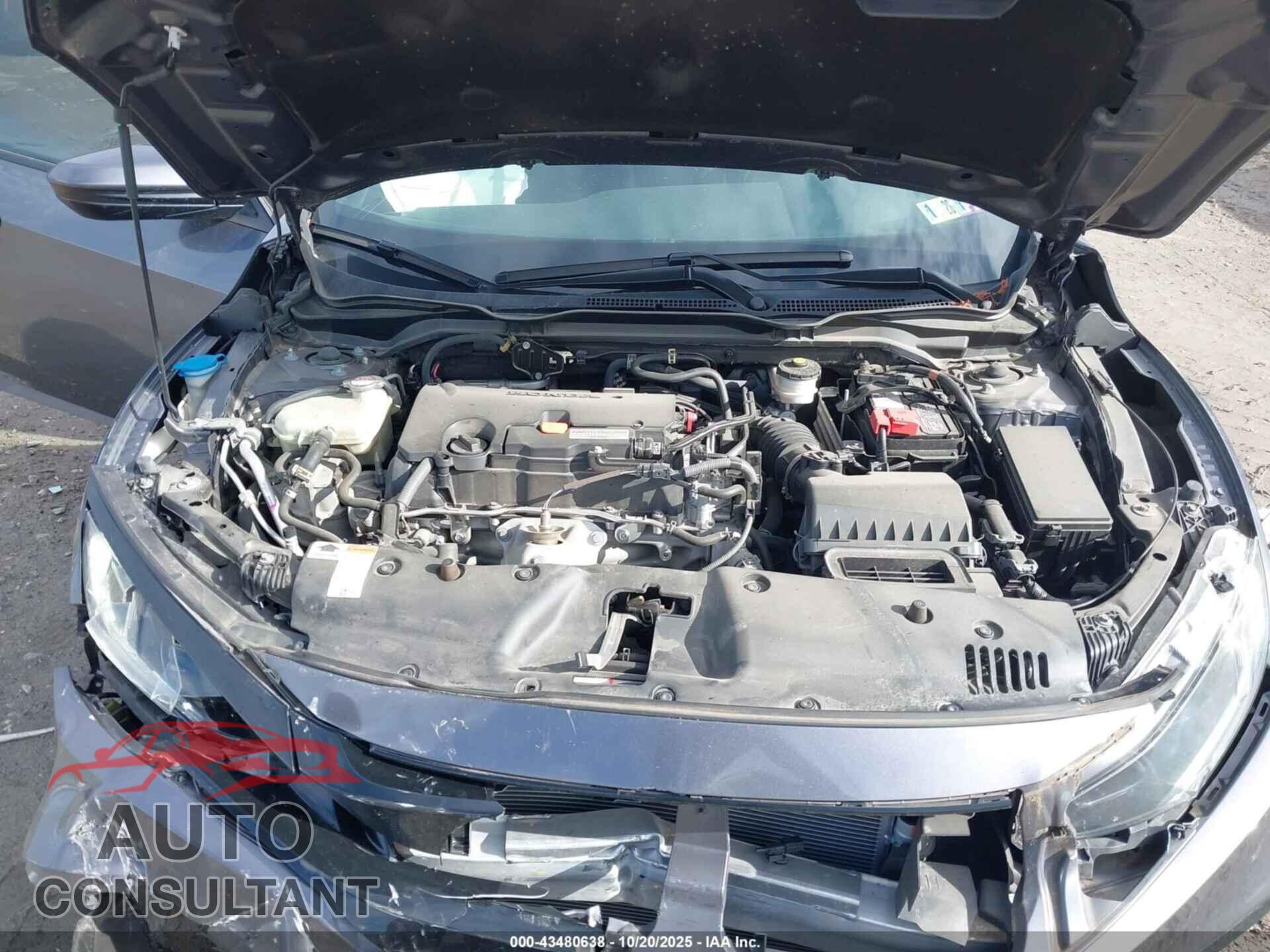 HONDA CIVIC 2020 - 2HGFC2F86LH558687