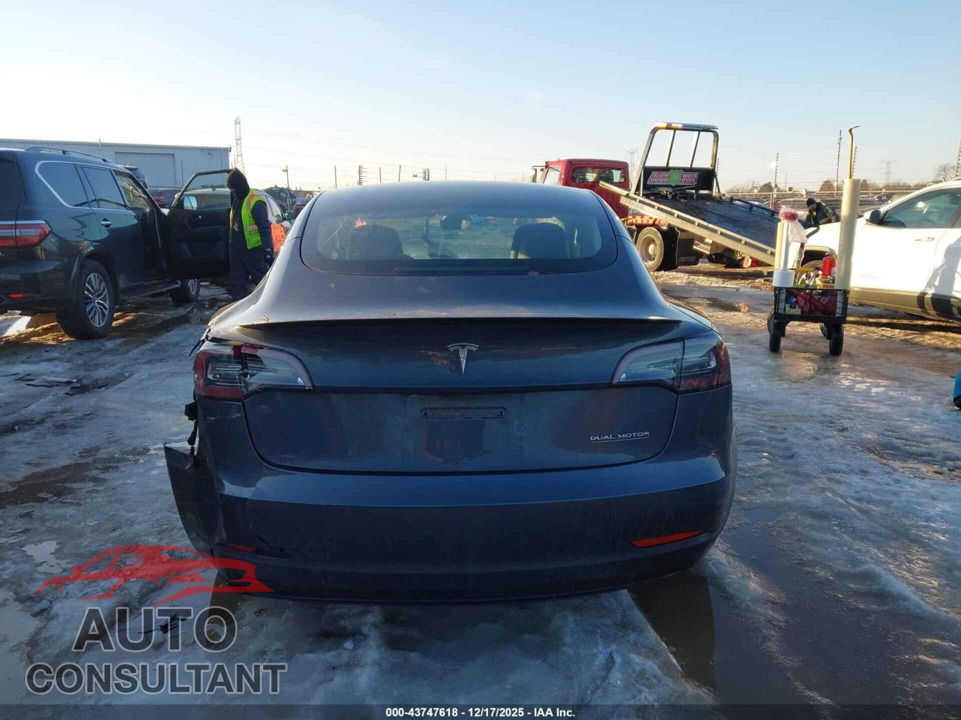 TESLA MODEL 3 2021 - 5YJ3E1EC7MF060338