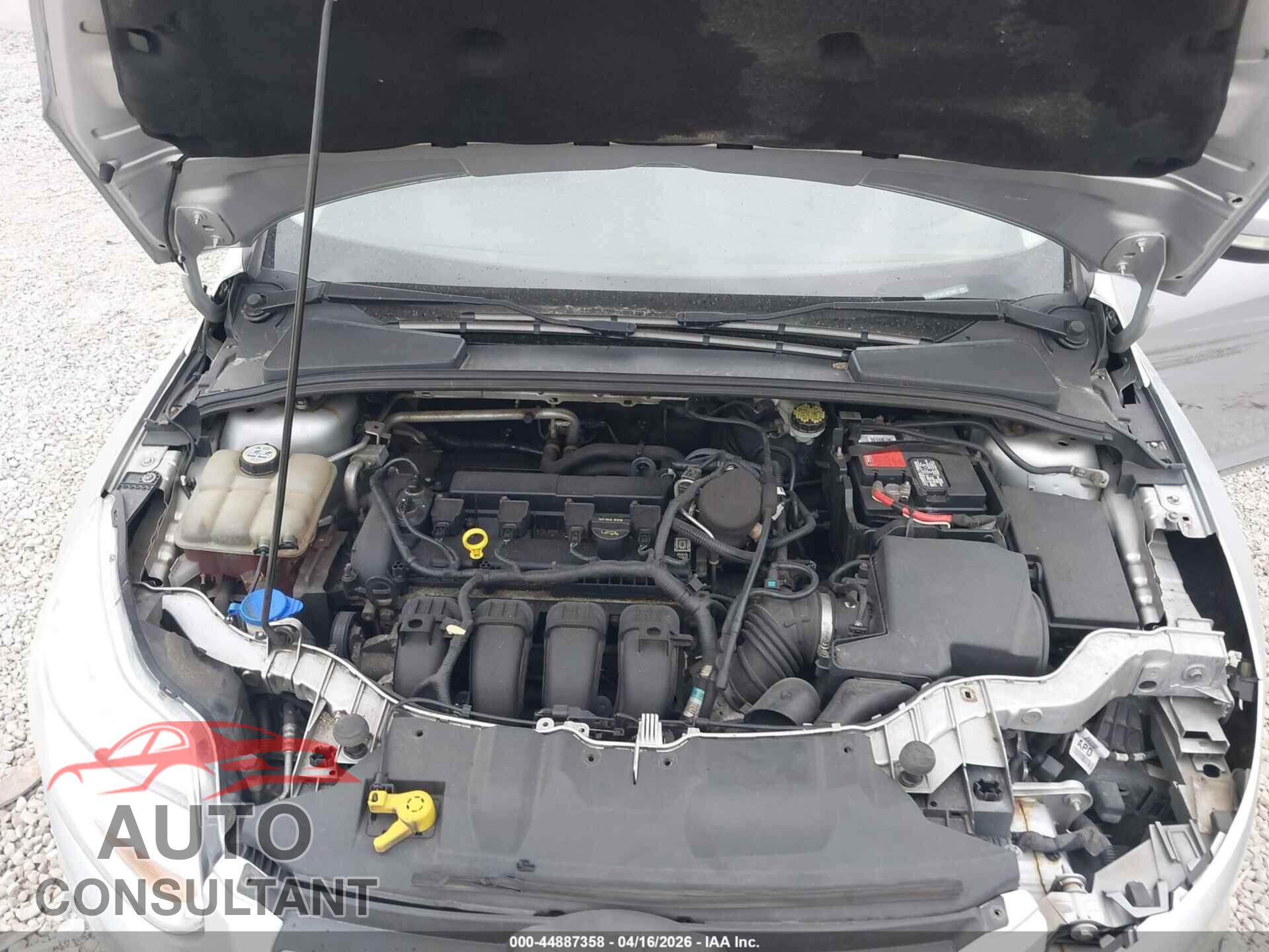 FORD FOCUS 2012 - 1FAHP3F20CL397937