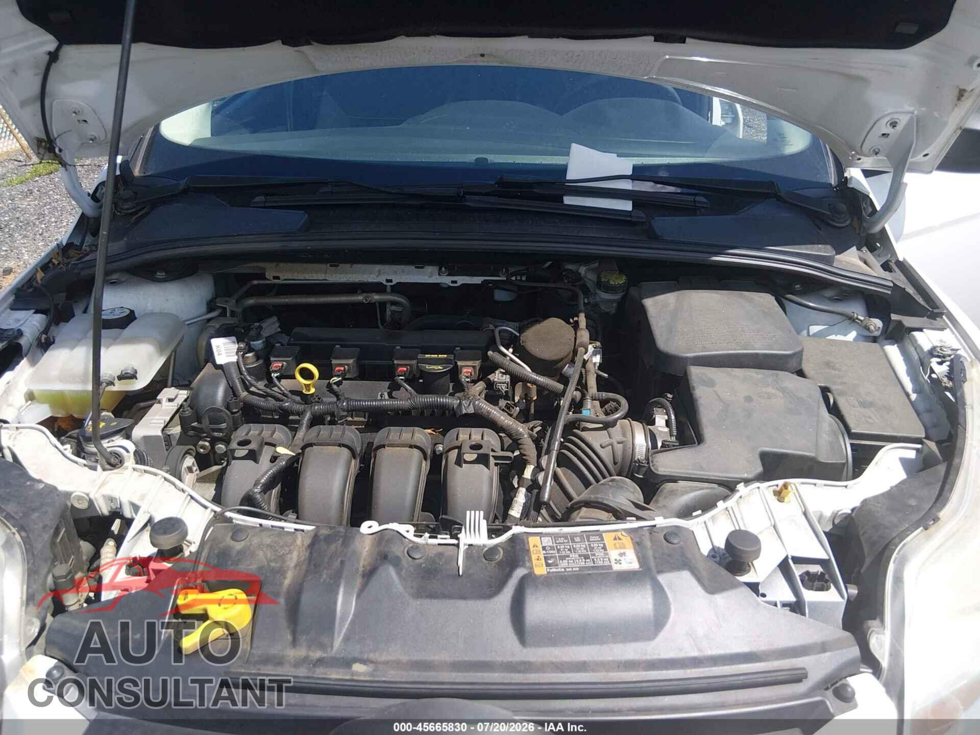 FORD FOCUS 2014 - 1FADP3E20EL351298