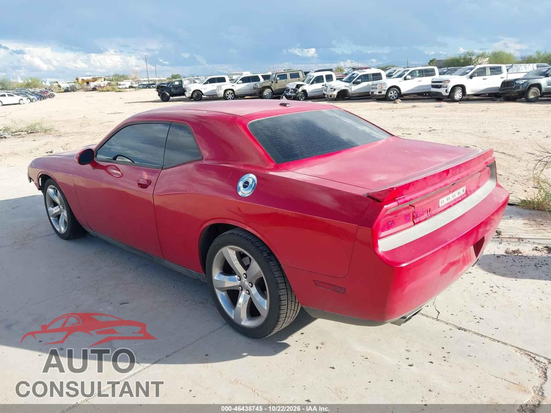 DODGE CHALLENGER 2013 - 2C3CDYBTXDH587708